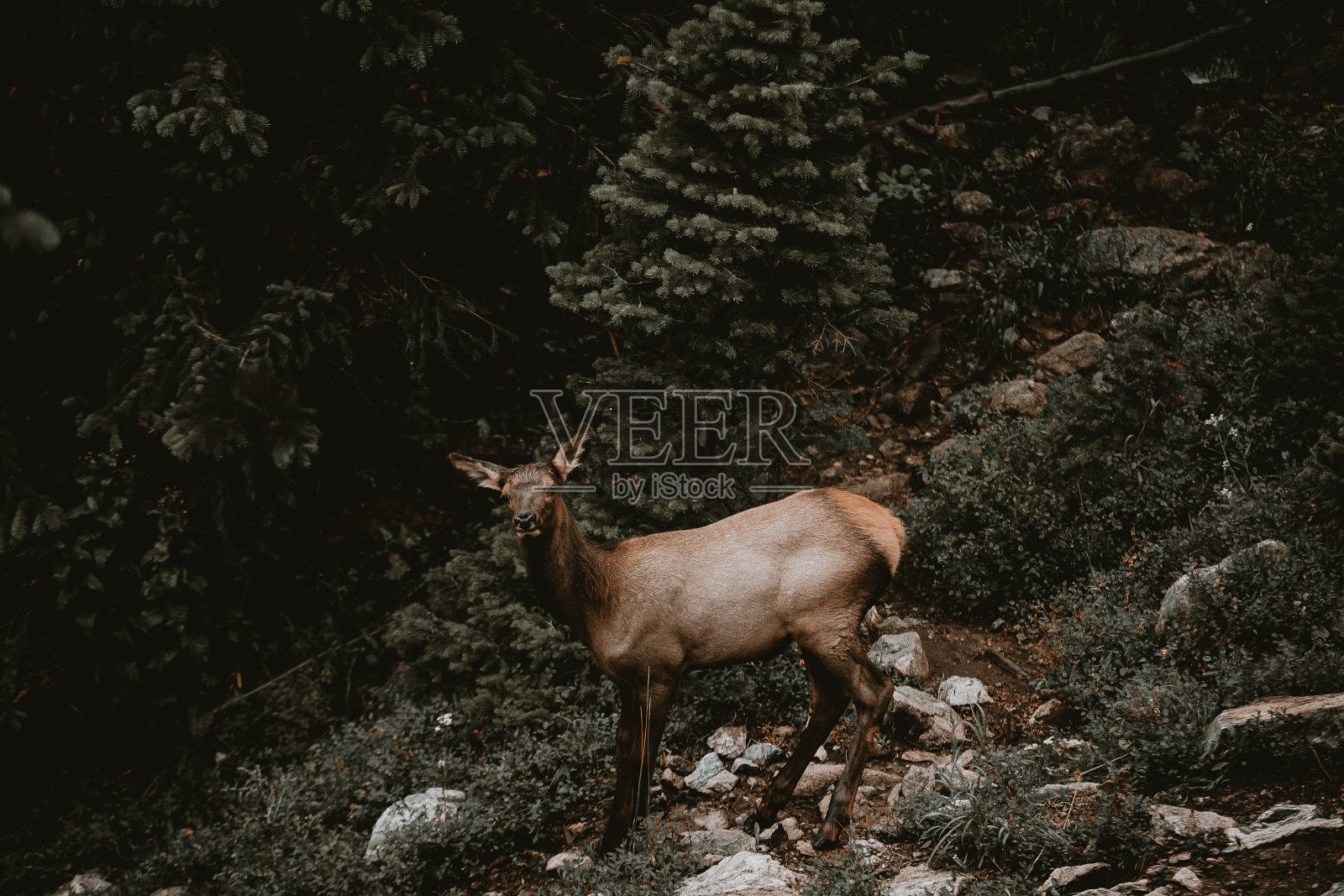 科罗拉多州照片摄影图片