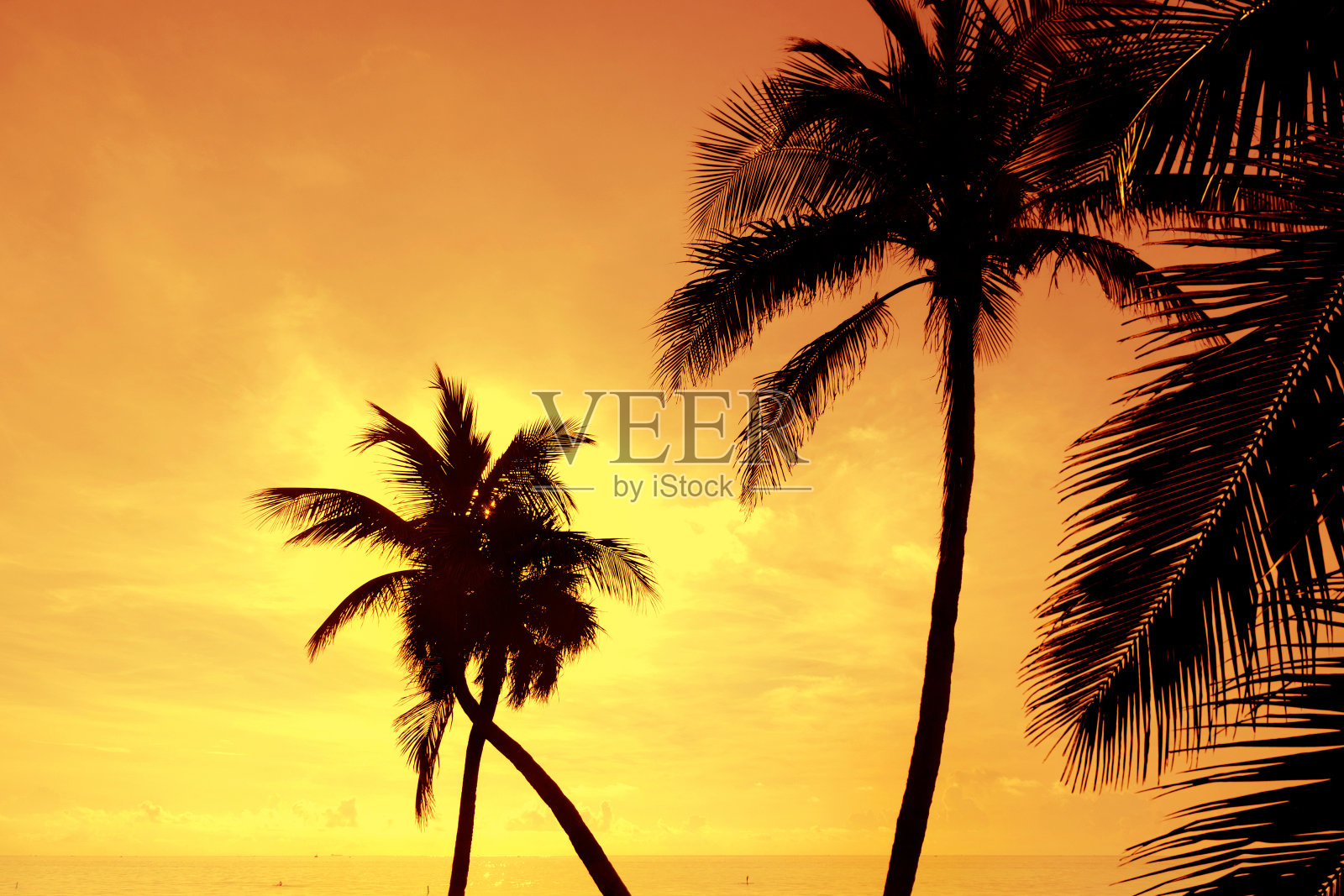 清新的热带海滩和日落时的棕榈树照片摄影图片