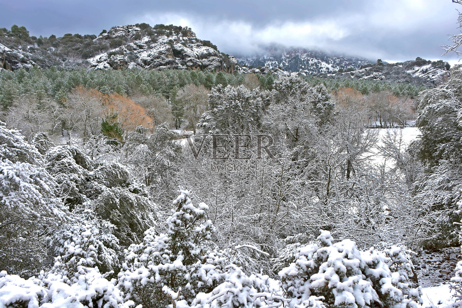 冬季在卡索拉、塞古拉和拉斯维拉的自然公园。照片摄影图片
