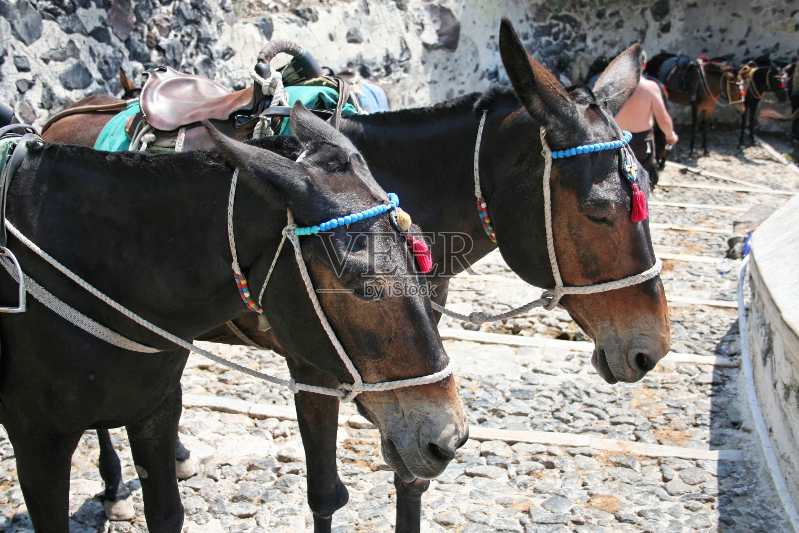 图片来自希腊的圣托林照片摄影图片