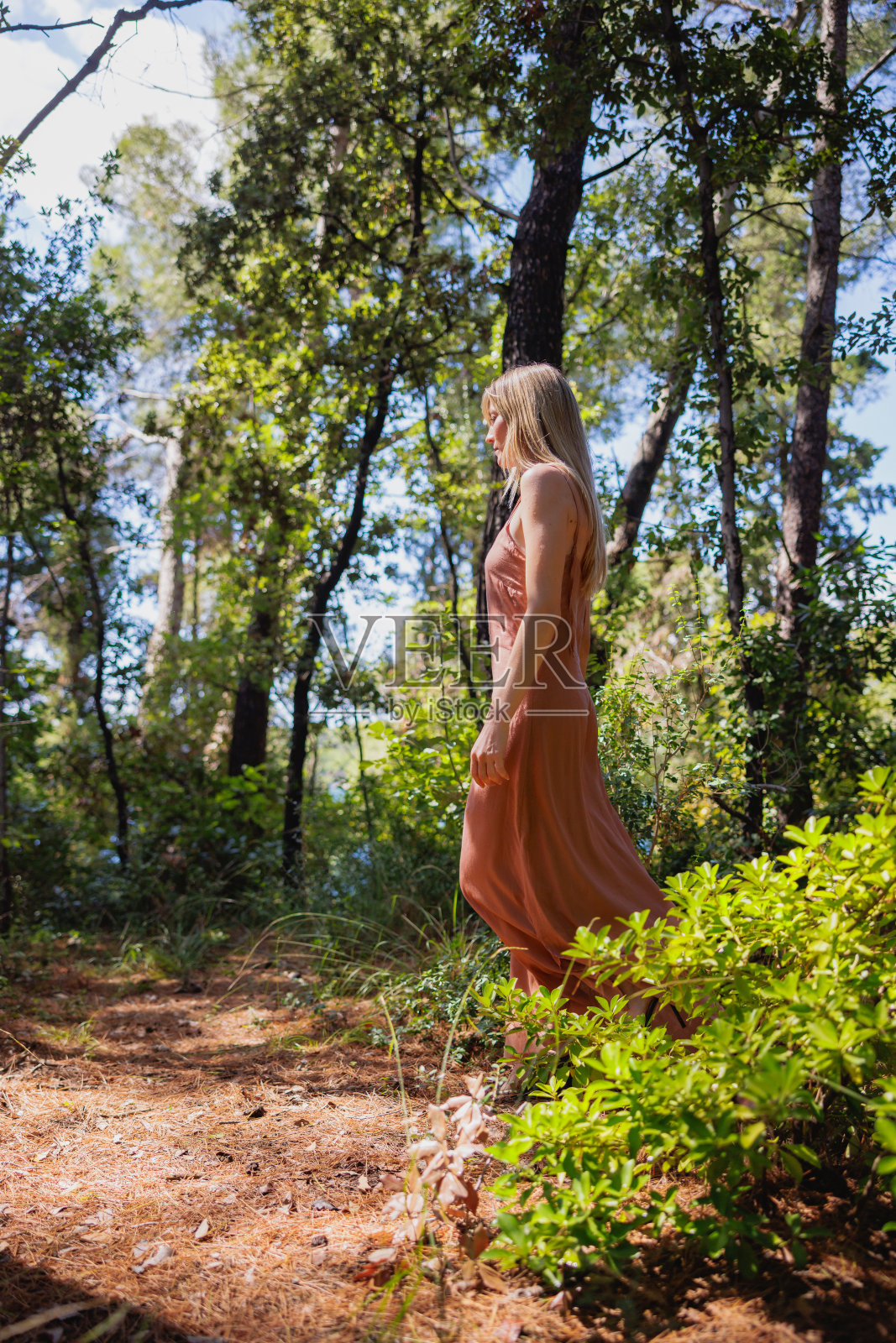 漂亮的金发女人穿着赤陶色无袖长裙独自走在树林里照片摄影图片