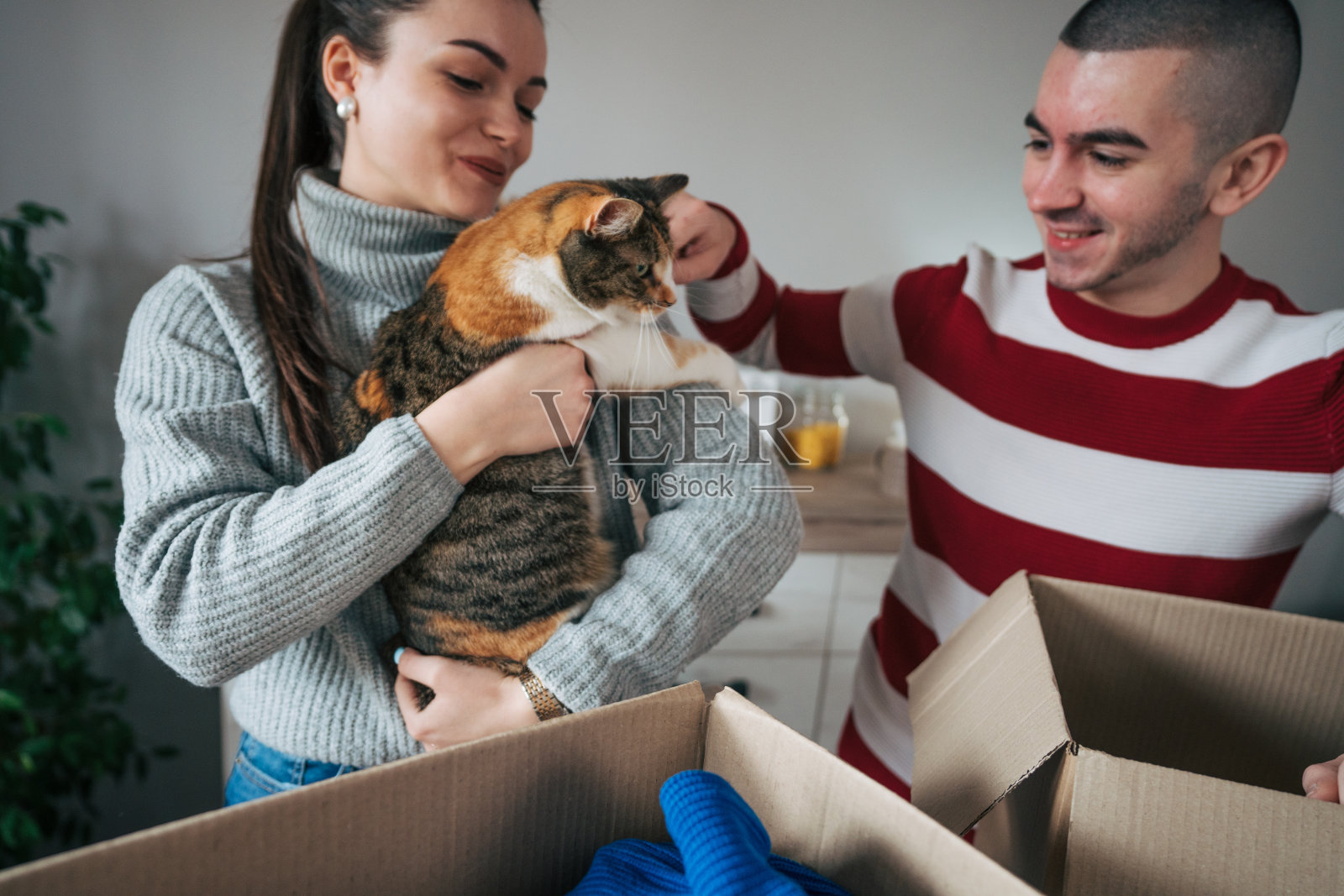 年轻夫妇在为慈善组织打包衣服时，与猫玩耍照片摄影图片