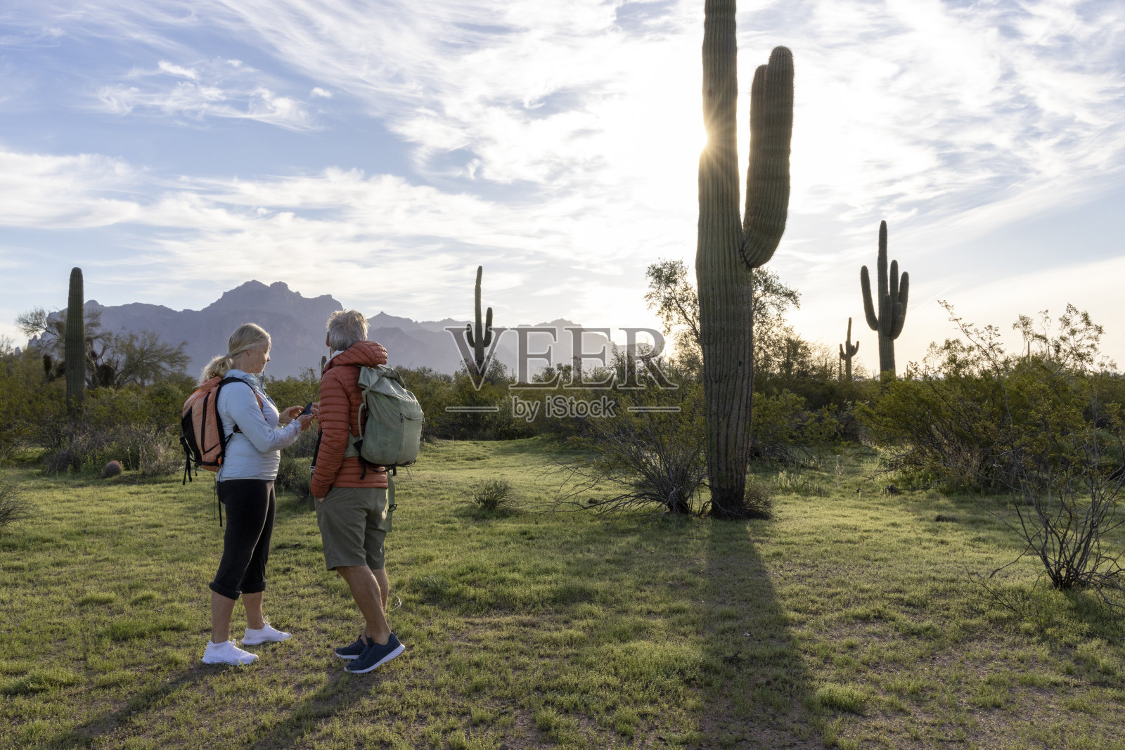 徒步旅行者在沙漠中看手机照片摄影图片