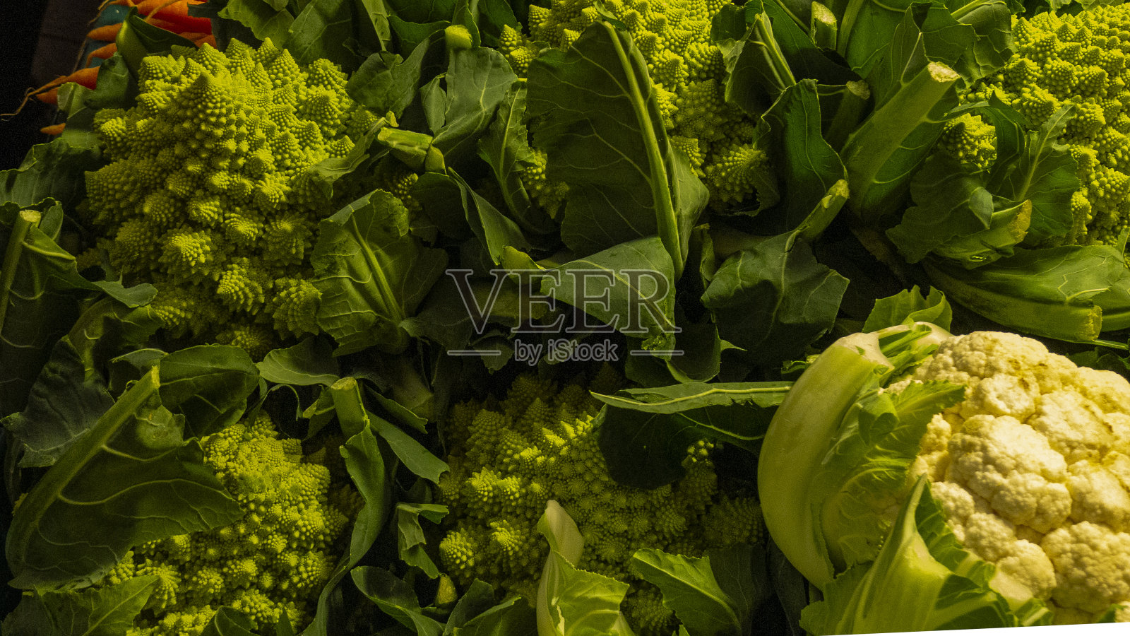 法国巴黎的新鲜食品市场照片摄影图片