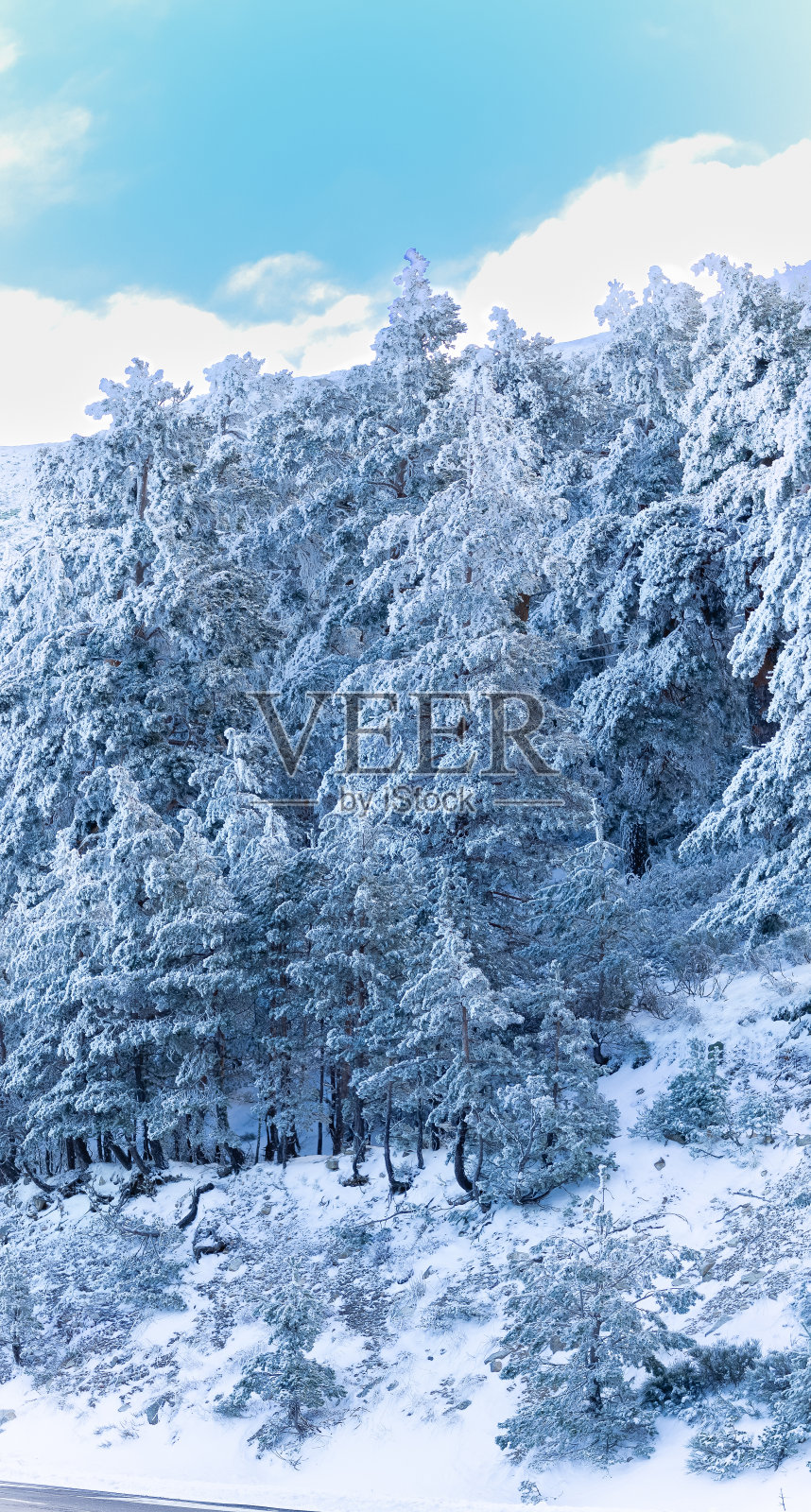 2024年2月，马德里瓜达拉马山脉的科托斯港雪景照片摄影图片