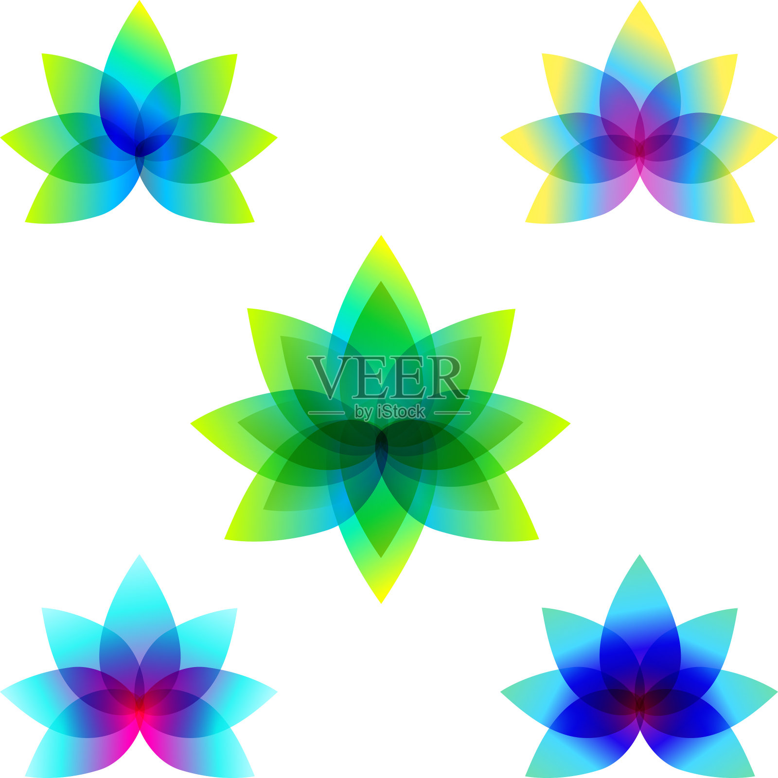 线条组成的彩色花朵在各种渐变色调，绿，蓝，粉，黄插画图片素材