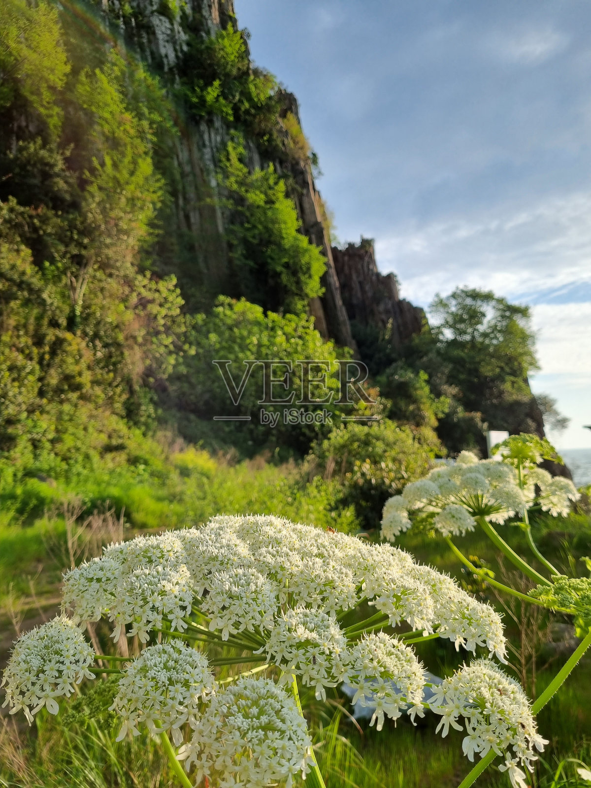 自然照片摄影图片