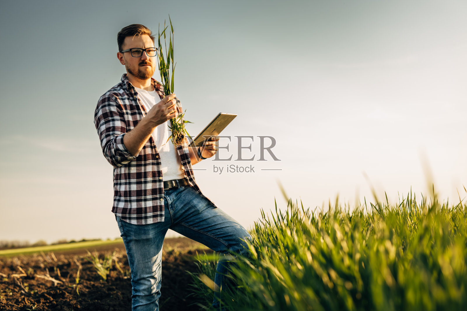 农民的生活照片摄影图片