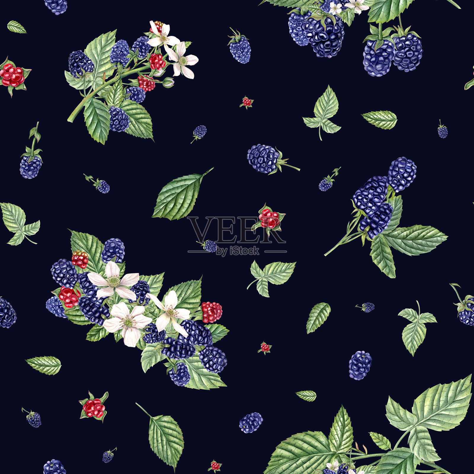 成熟的黑莓芳香的夏季无缝图案。一串串黑莓。森林和花园浆果。悬钩子属植物,树莓。水彩插图孤立的黑色背景。插画图片素材
