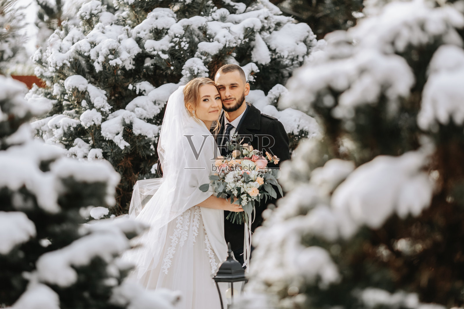 新娘和新郎在雪树之间的肖像。新郎在冬季公园拥抱新娘。新娘身穿结婚礼服和雨披，手持一束鲜花。新郎穿着一件黑色的外套。照片摄影图片