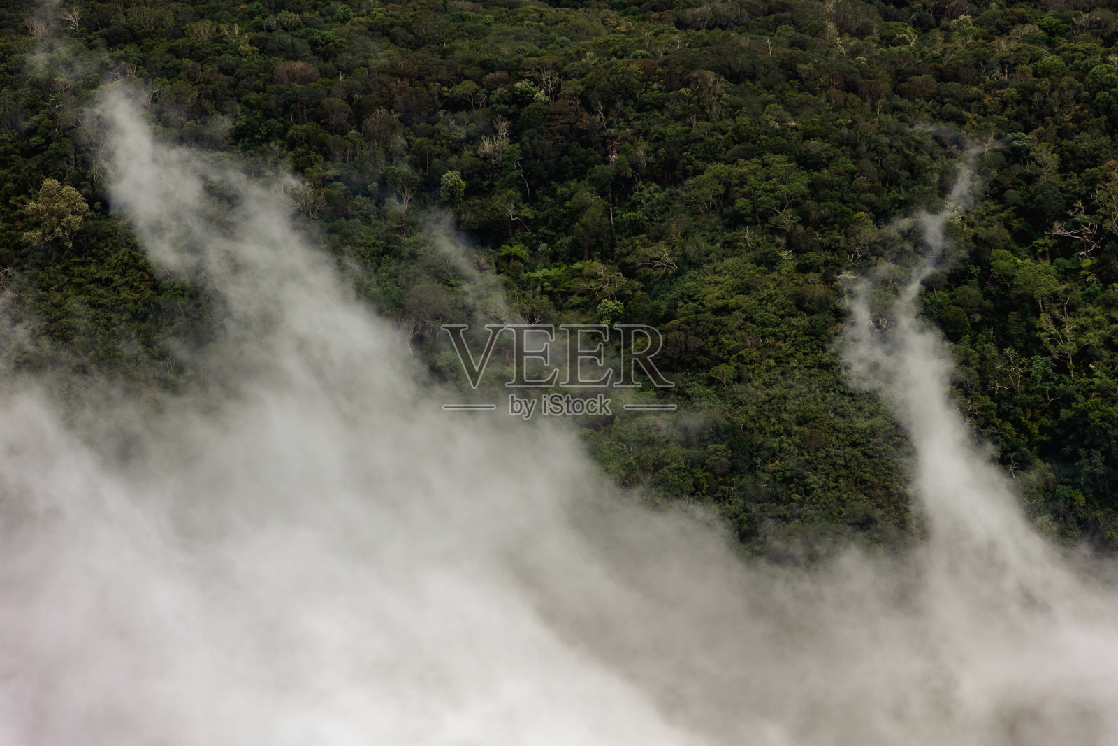 当薄雾开始笼罩该地区时，塞拉多里奥多拉斯特罗的雄伟悬崖上点缀着原生植被。照片摄影图片