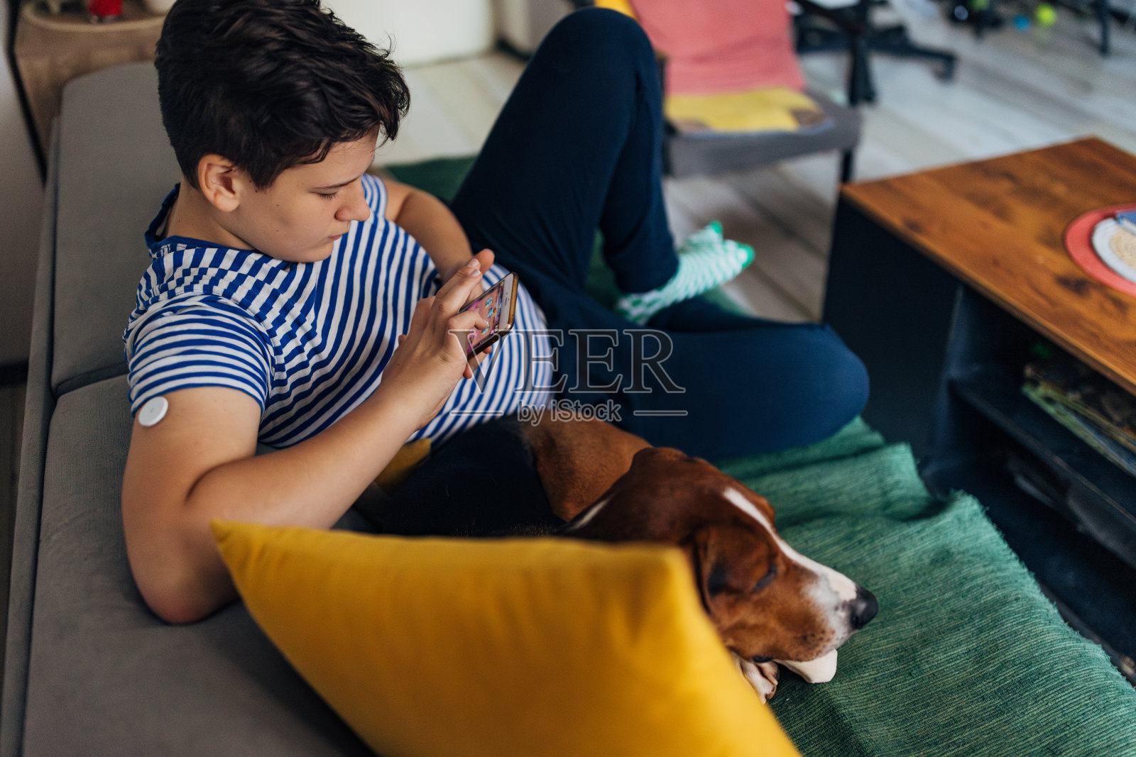 一只三色狗蜷缩着躺在沙发上，一个患有糖尿病的男孩坐在他旁边玩手机照片摄影图片