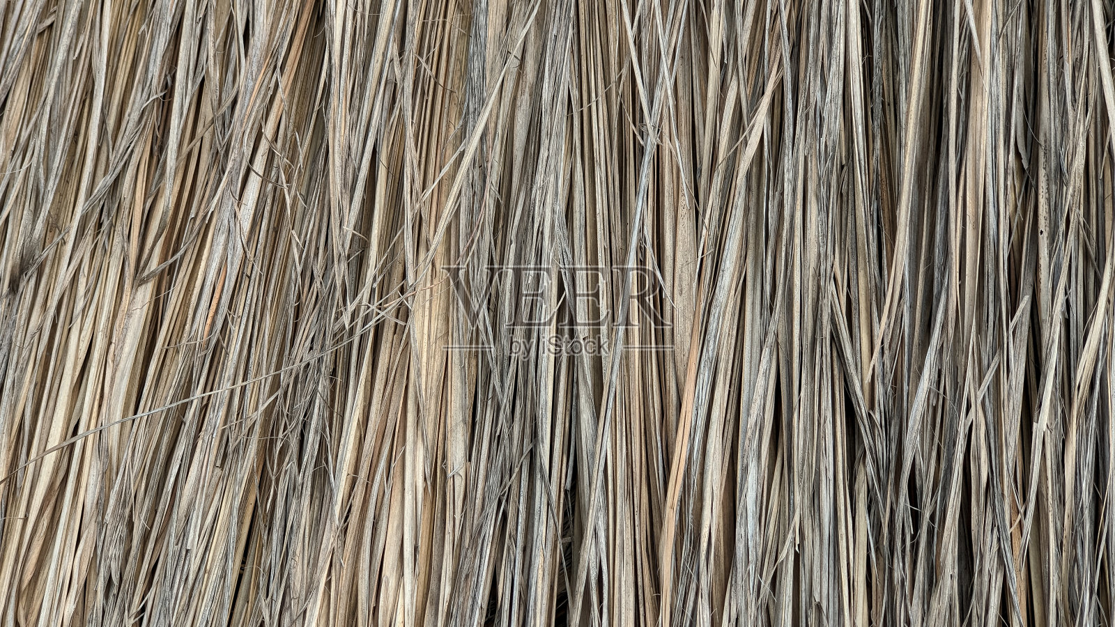 纹理的茅草屋顶特写，自然的米色和棕色色调，展现出复杂的图案和细节。照片摄影图片