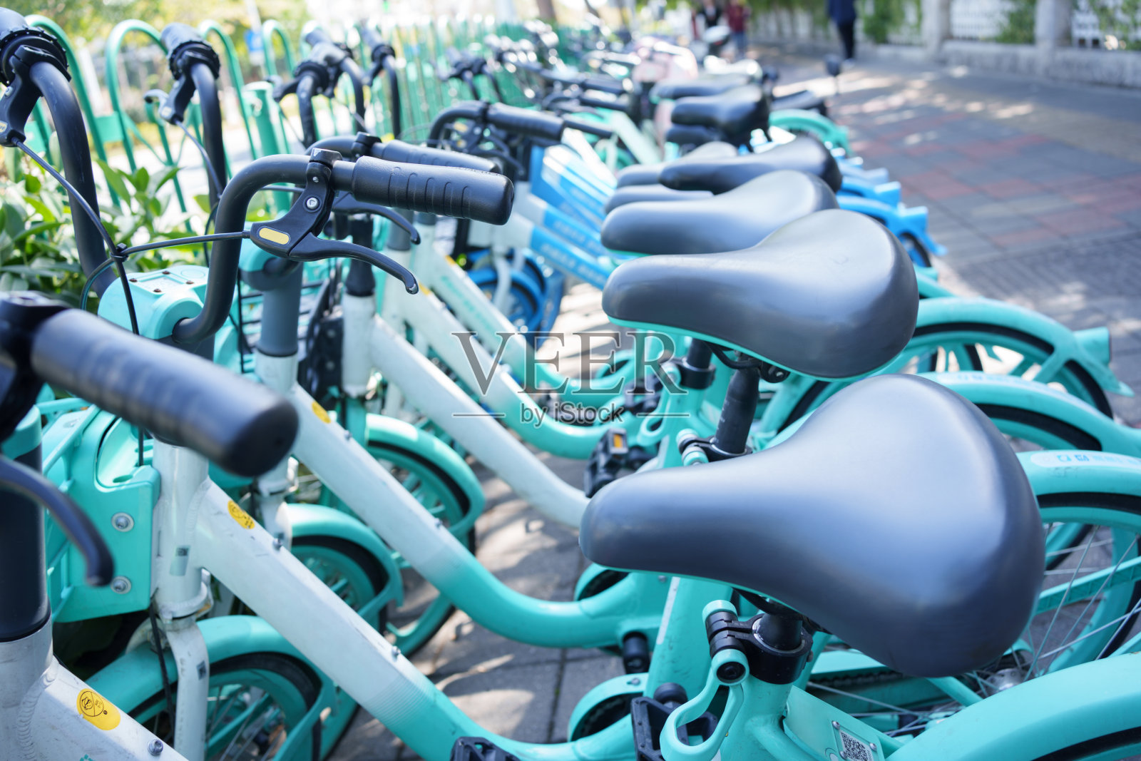 共享的自行车照片摄影图片