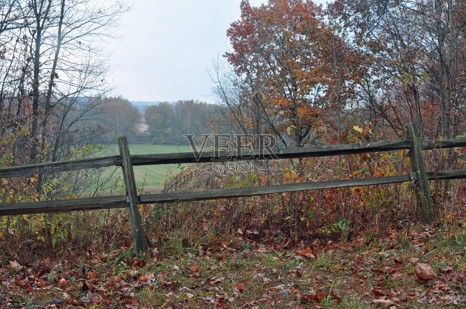 印第安纳州蒂珀卡努县的先知岩照片摄影图片
