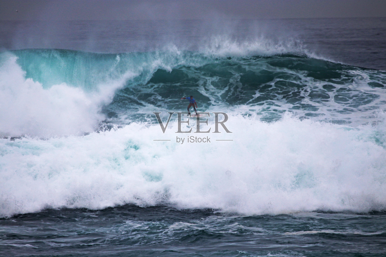 2024年巨型奶牛冲浪照片摄影图片