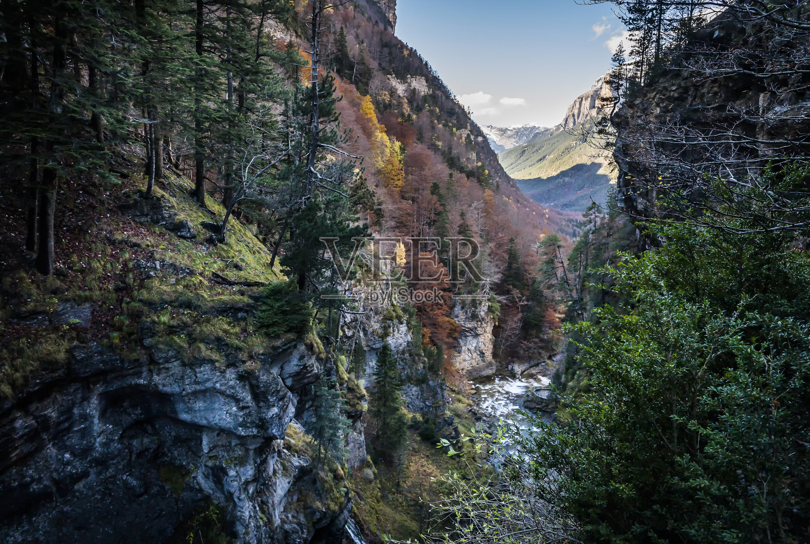 里约热内卢Arazas照片摄影图片
