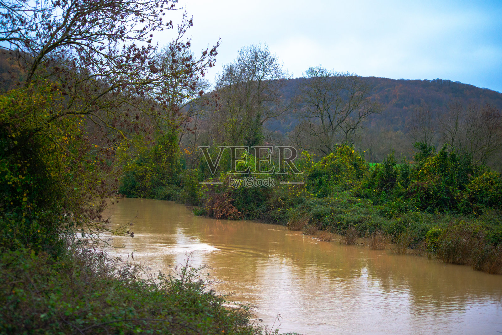 雨河宁静:大自然的清新拥抱照片摄影图片