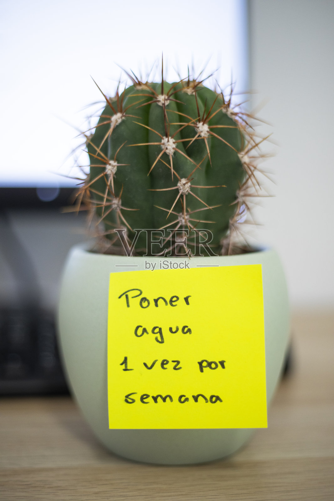 便利贴照片摄影图片