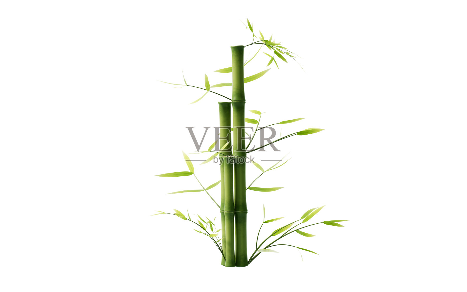 孤立的绿色竹子元素，3d渲染。照片摄影图片