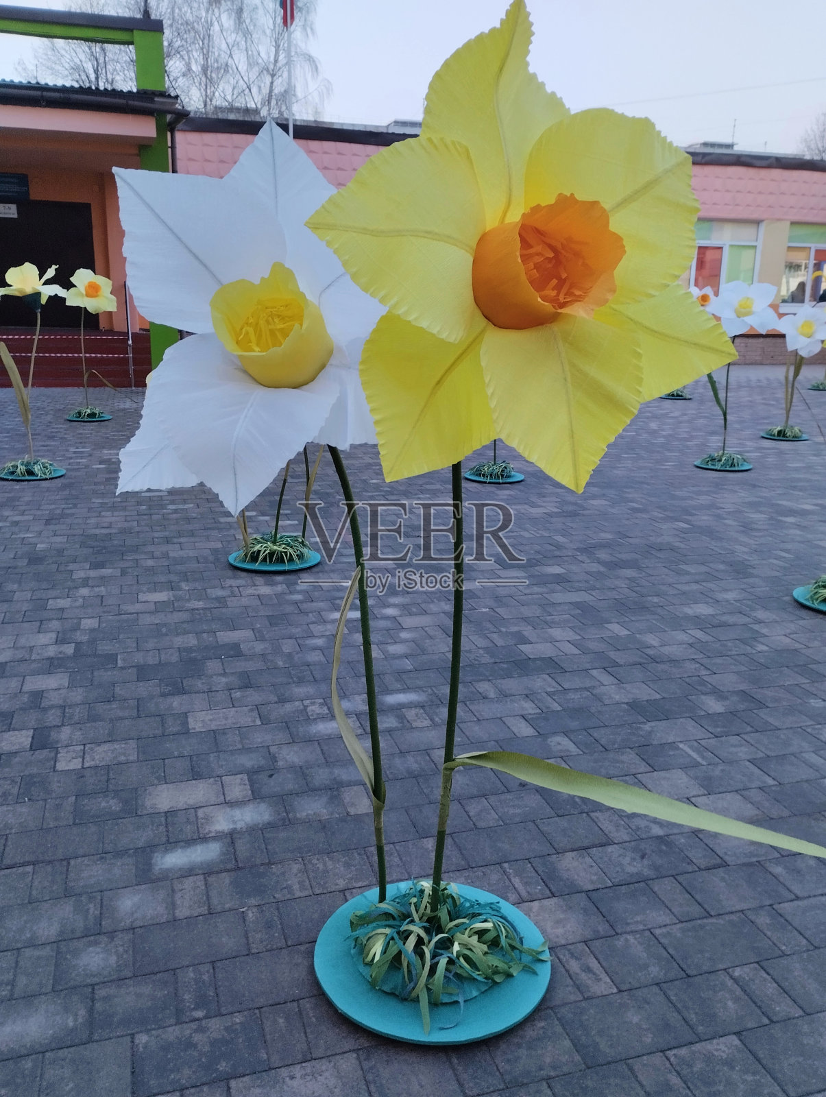 装饰花照片摄影图片