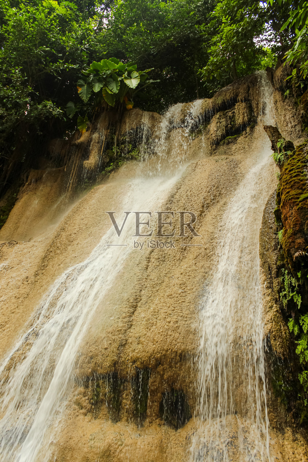 美丽而令人惊叹的绿色瀑布，四面湾瀑布照片摄影图片