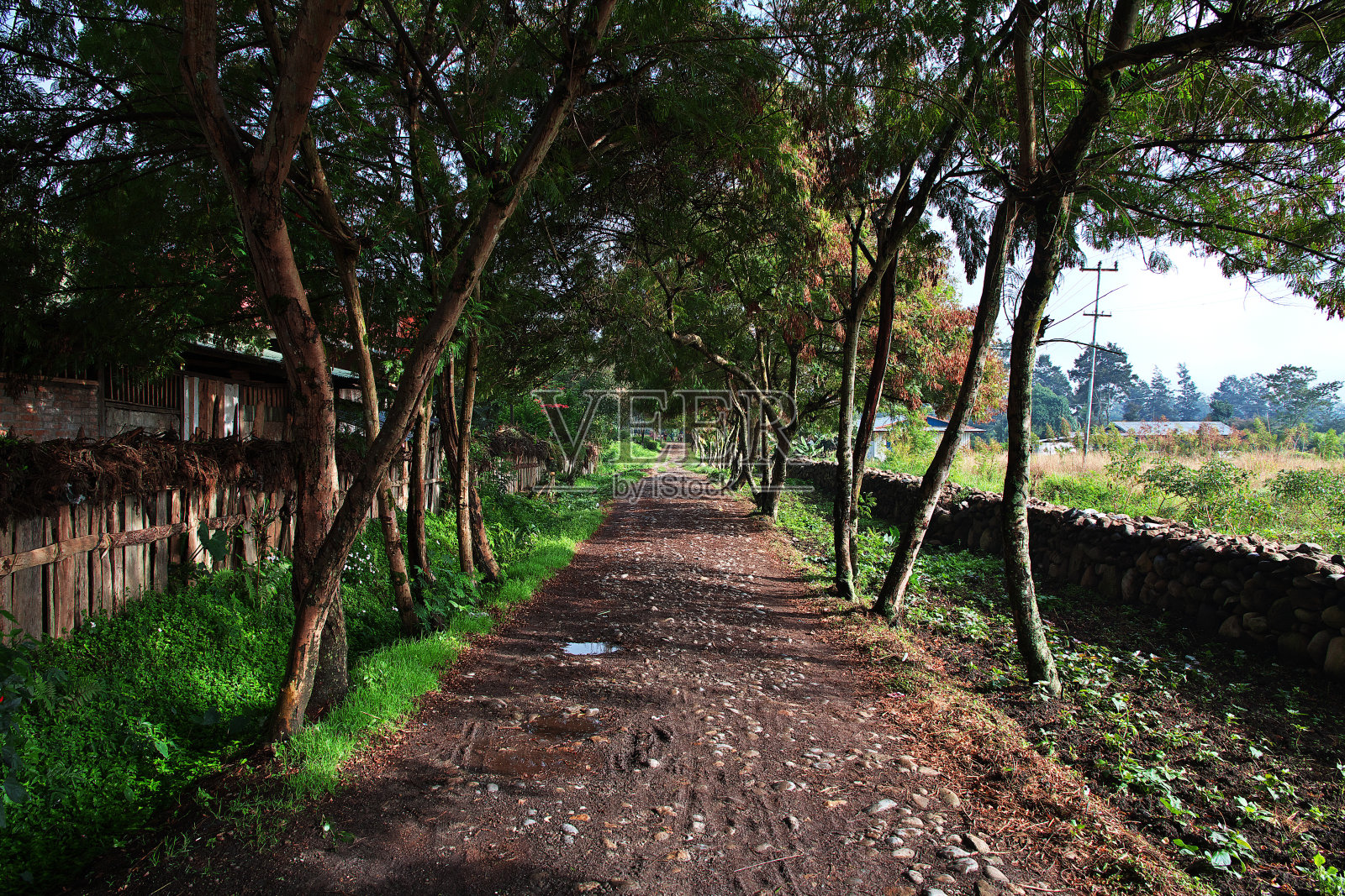 位于印尼巴布亚瓦梅纳市的公园照片摄影图片