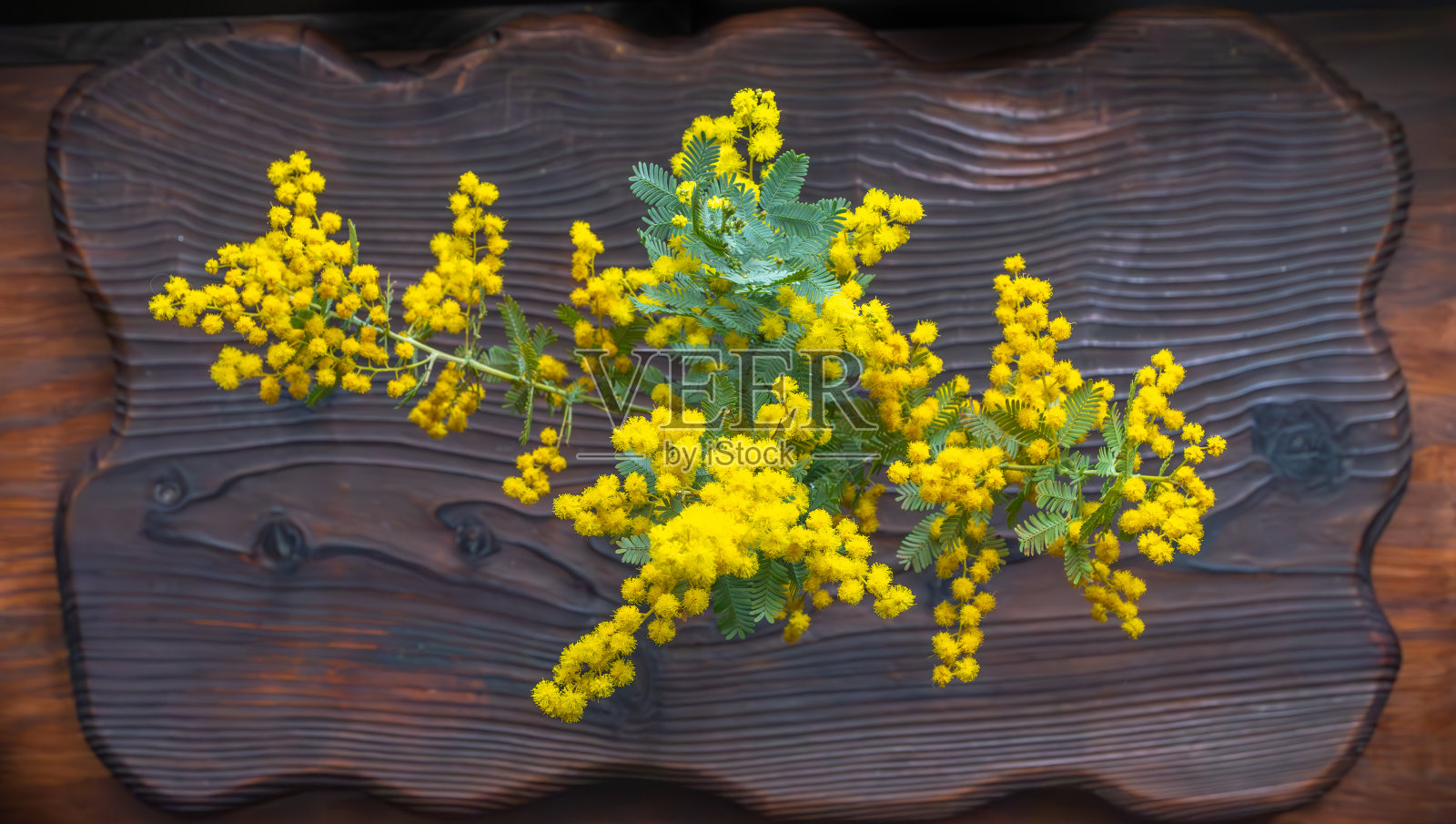 黄色的花照片摄影图片