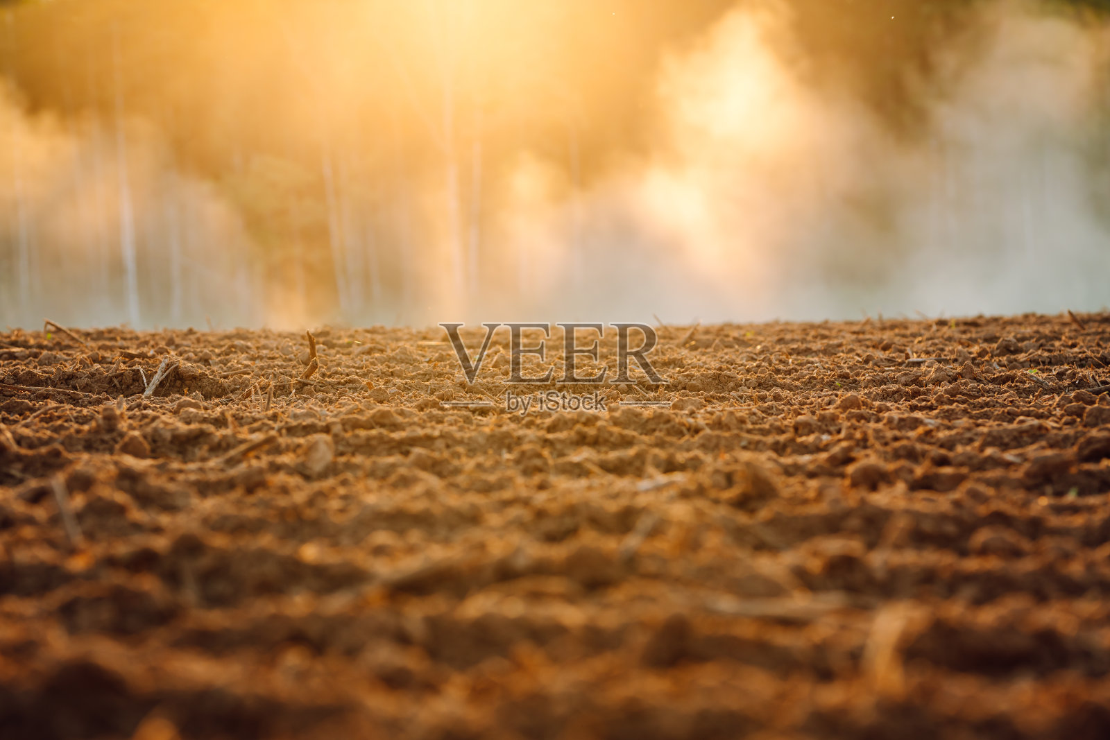 收获后的麦田。照片摄影图片