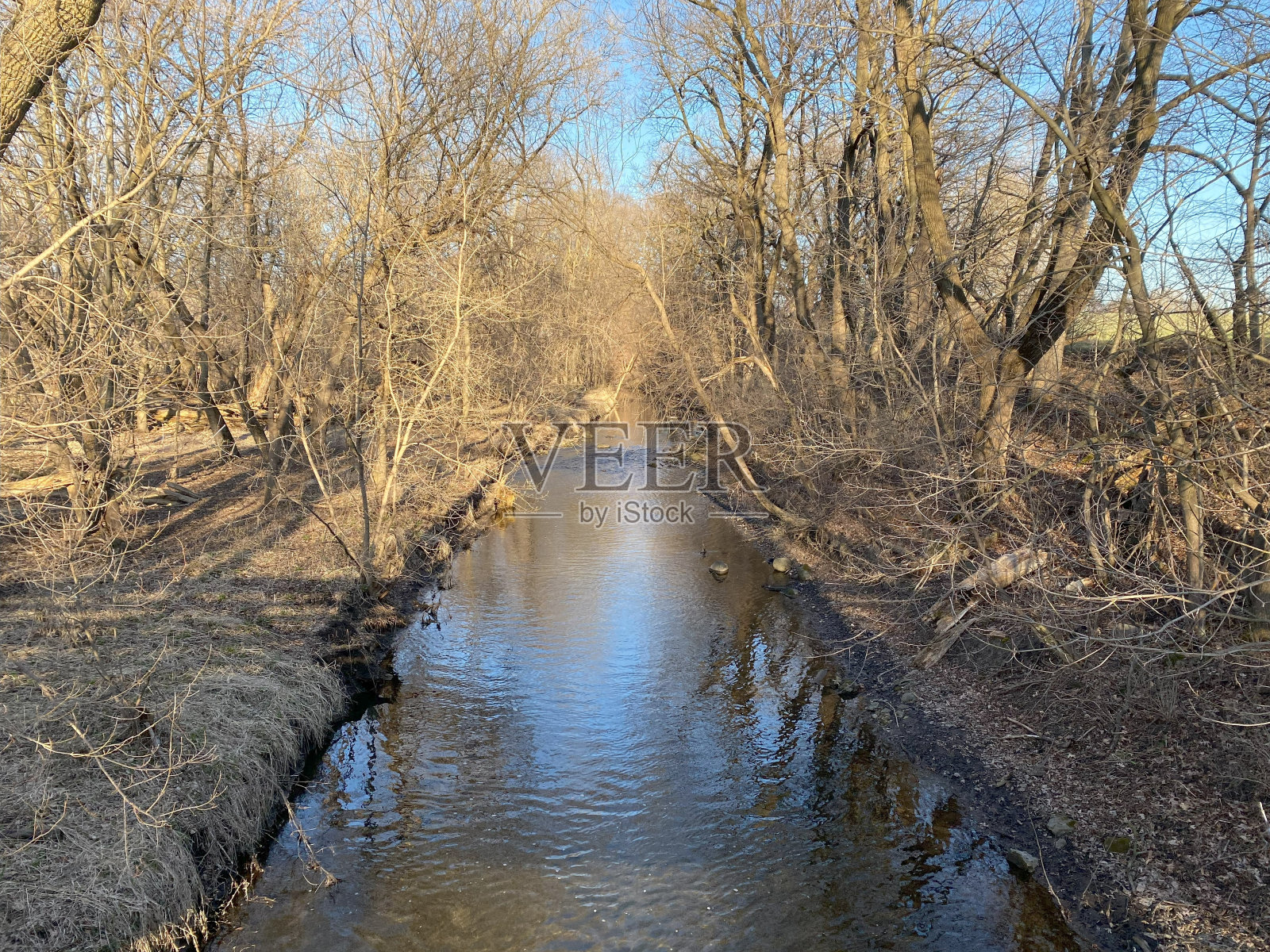 雅哈拉河的风景照片摄影图片