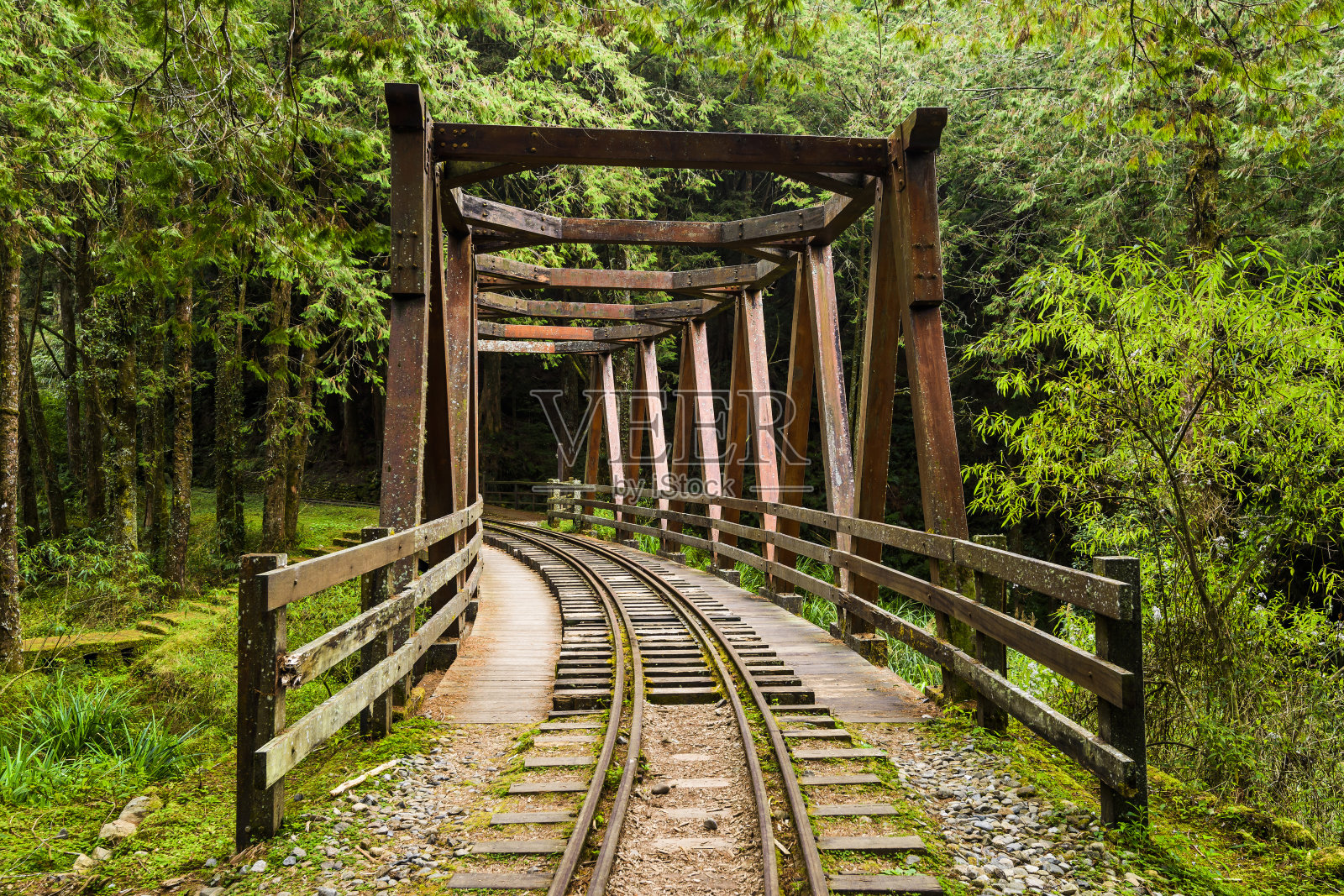 台湾嘉义阿里山森林游乐区。照片摄影图片