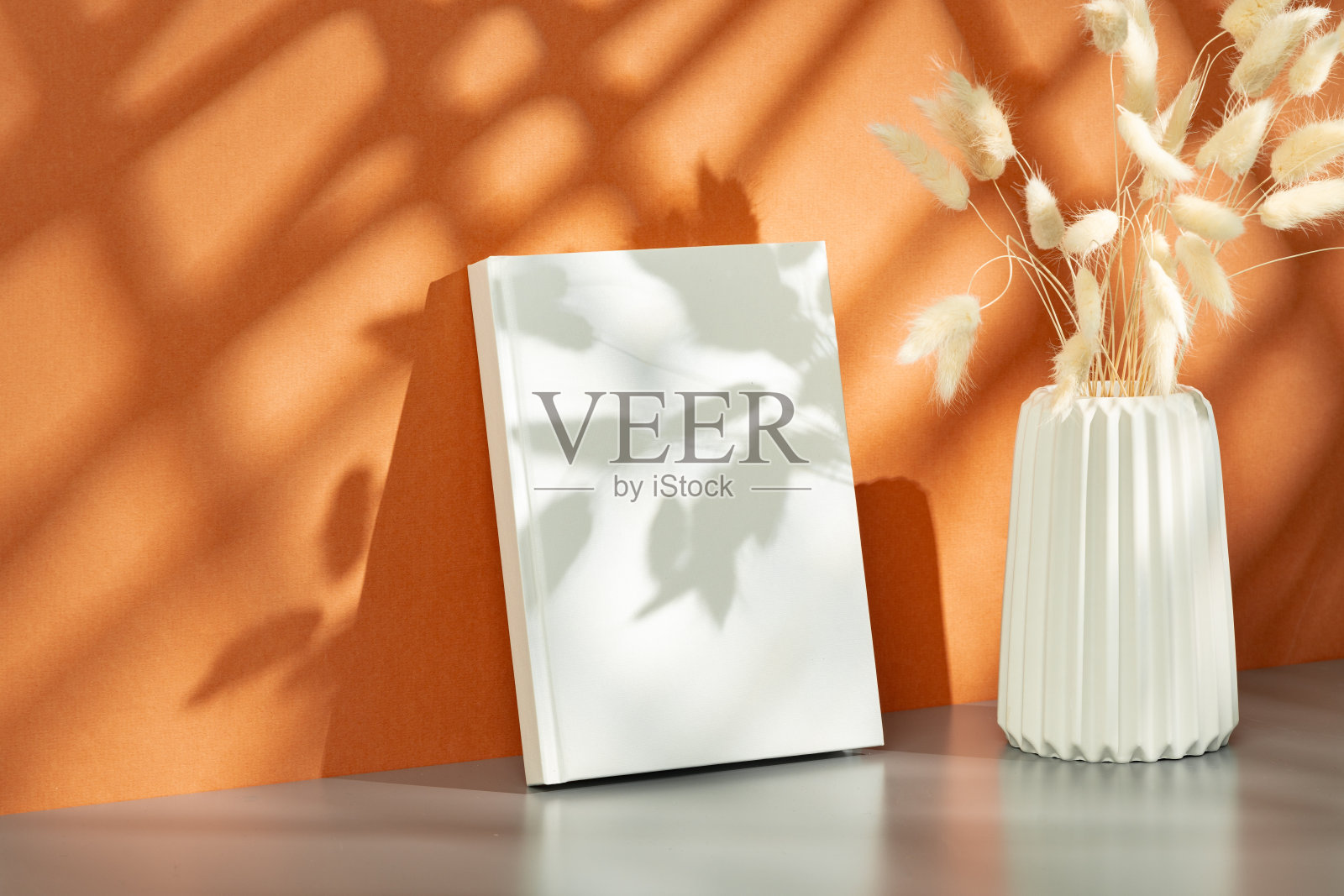 花瓶与干花对橙色背景与阴影图案照片摄影图片