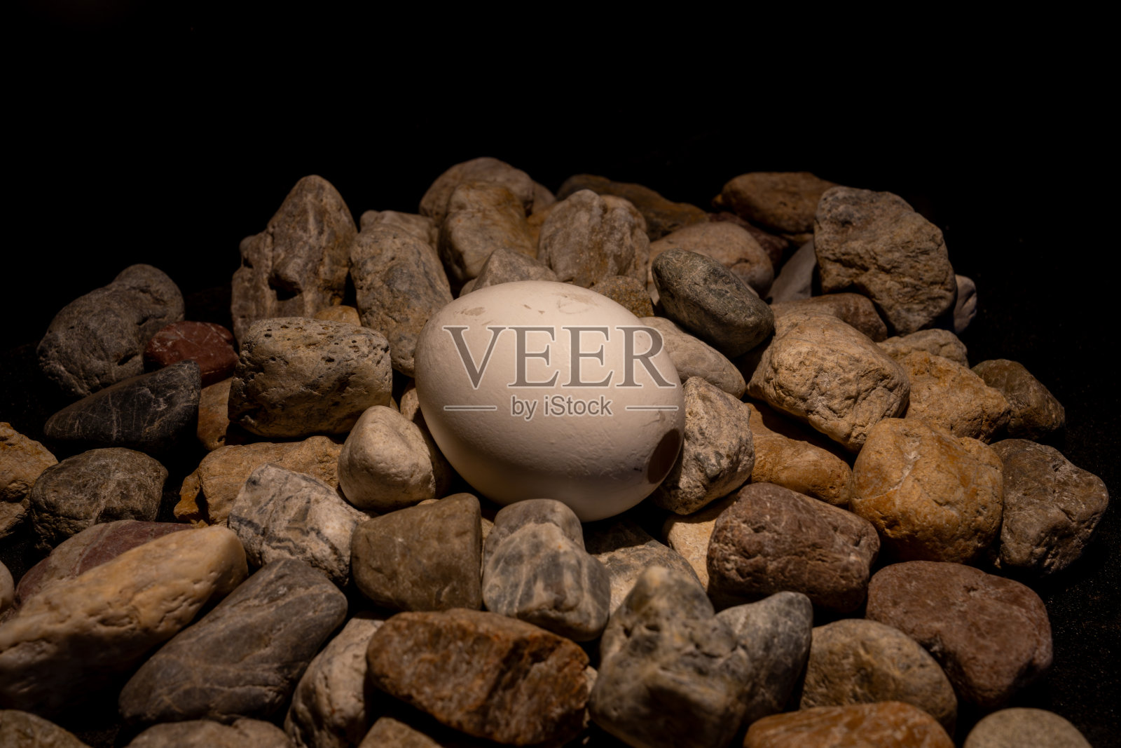 亮蛋照片摄影图片