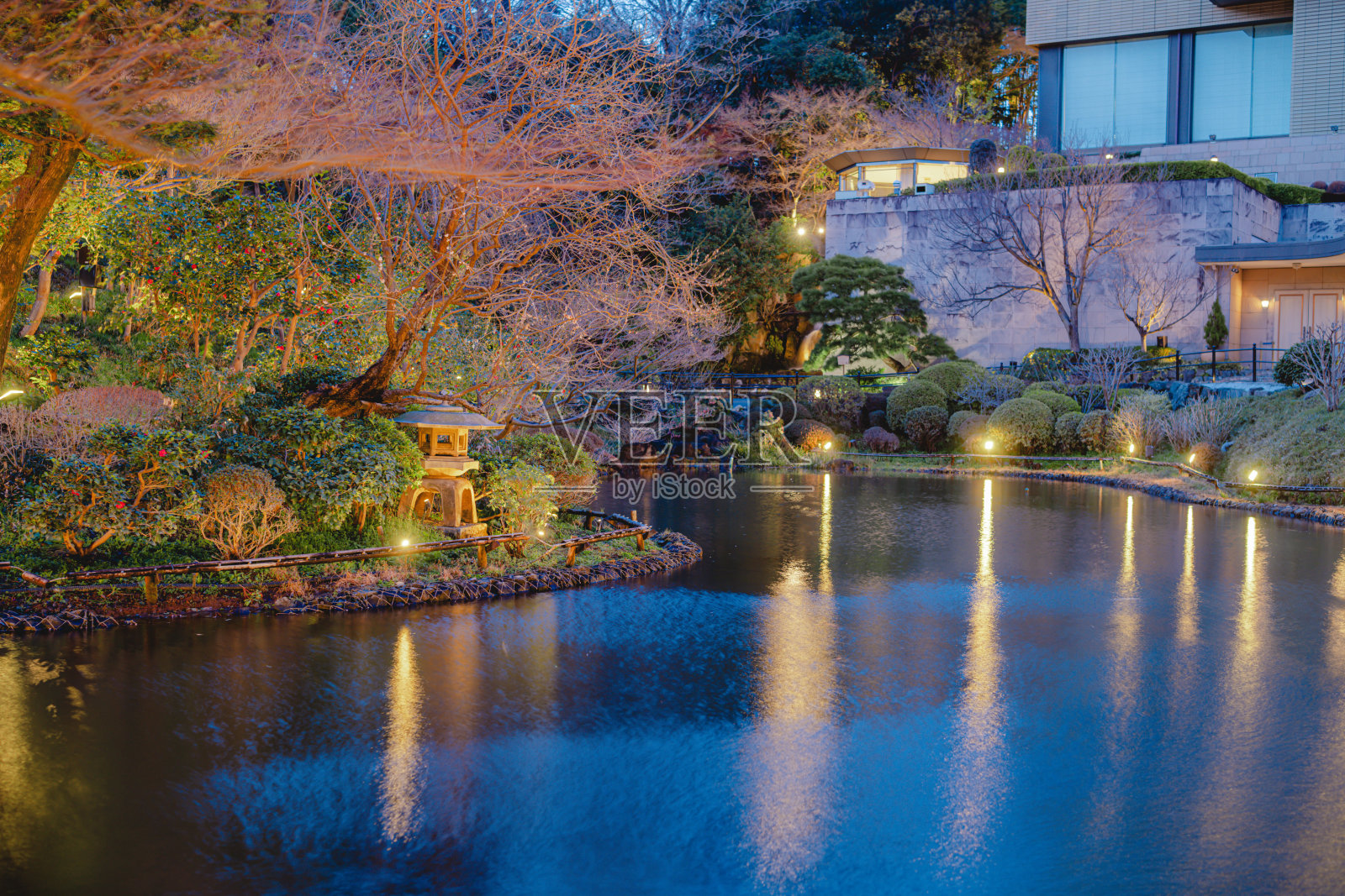 美丽的樱花在东京的花园里绽放照片摄影图片