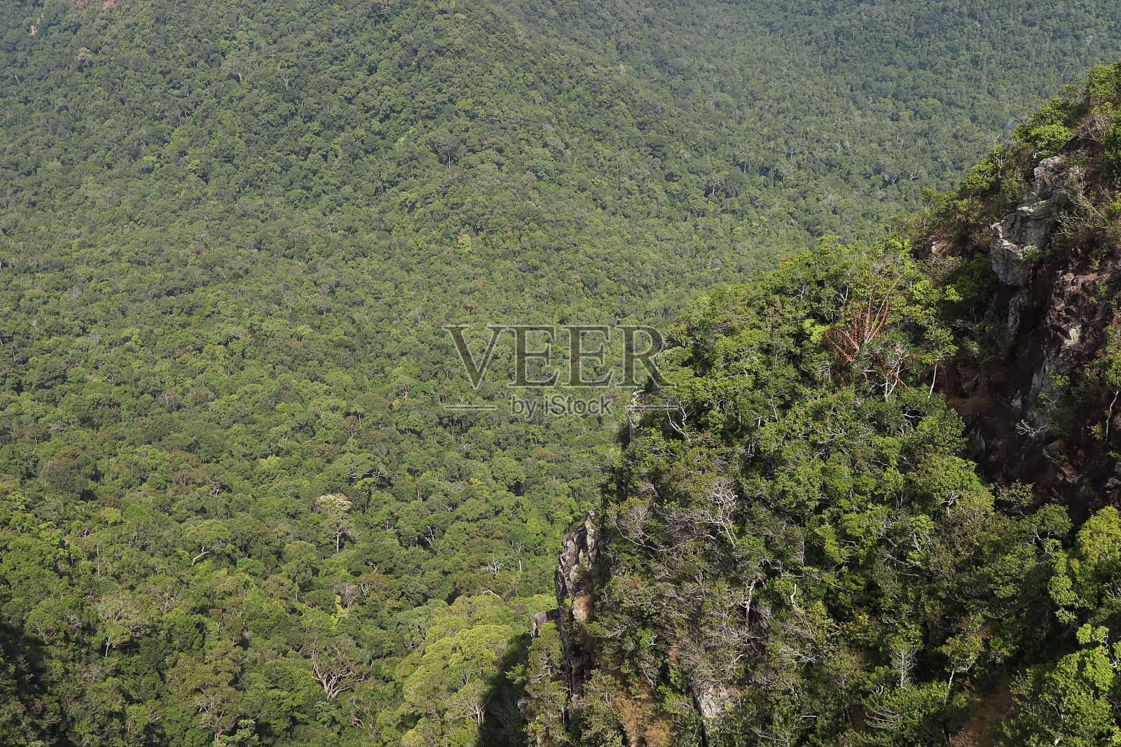 清晨的高山。美丽的自然背景与树在山在兰卡威，马来西亚。照片摄影图片