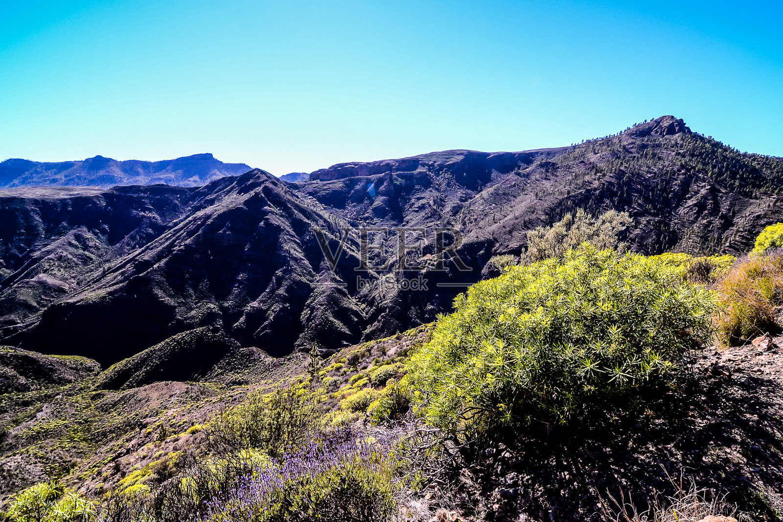 大的山谷照片摄影图片