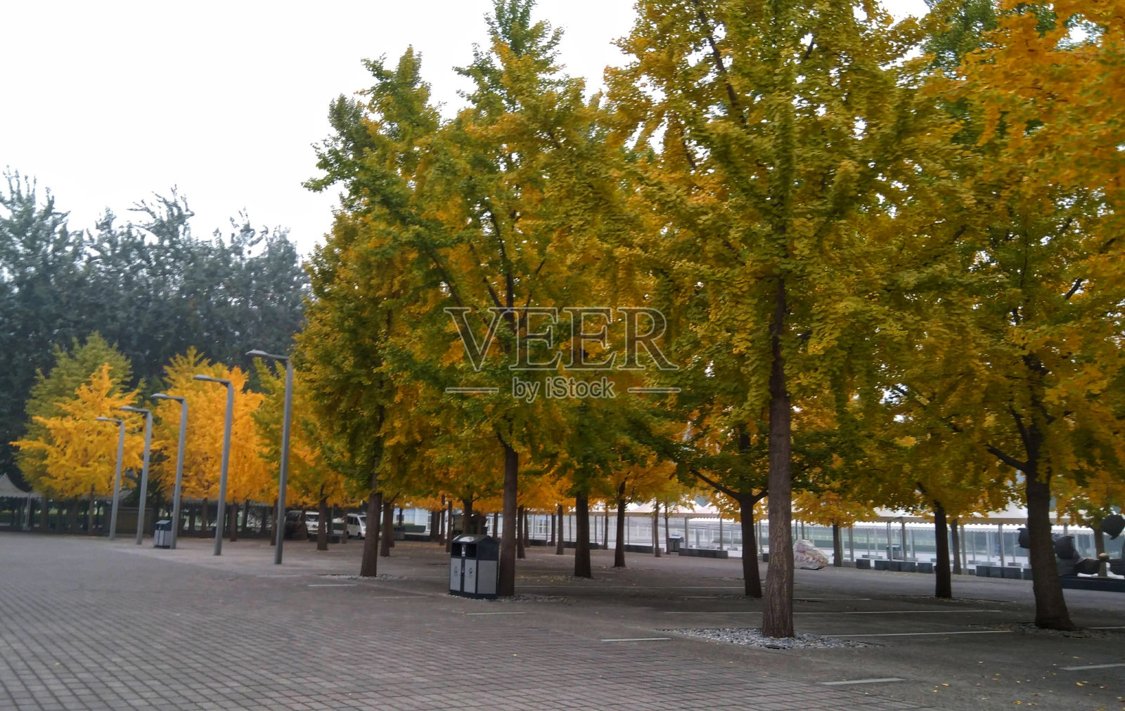 秋天的美丽照片摄影图片