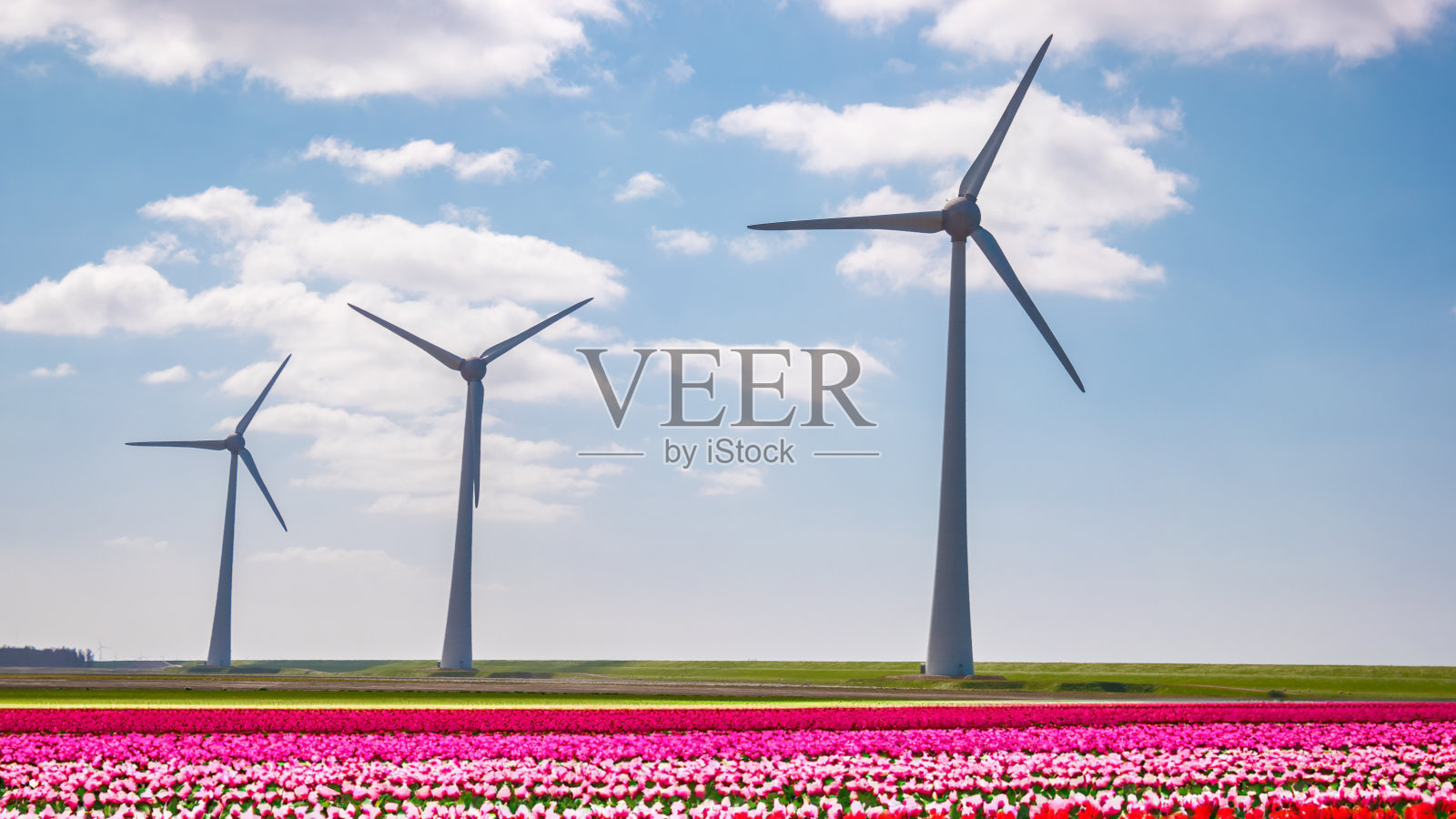 荷兰风车涡轮机，绿色能源，生态友好，能源转型照片摄影图片