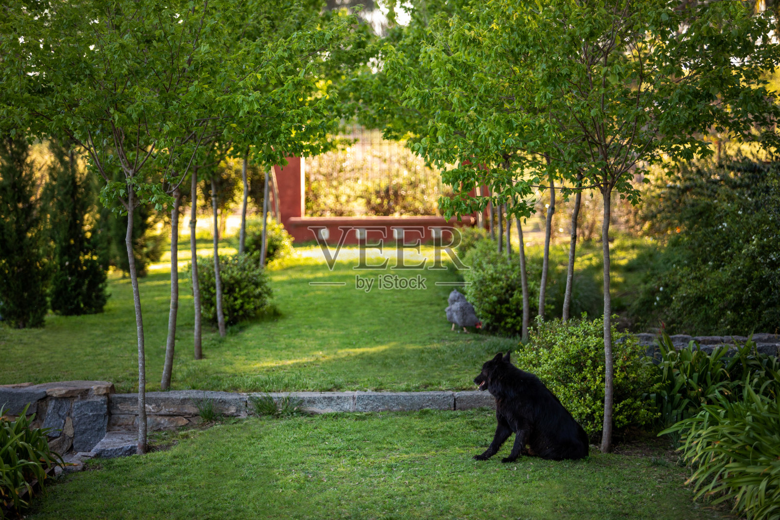 建筑、园林绿化和园林设计照片摄影图片