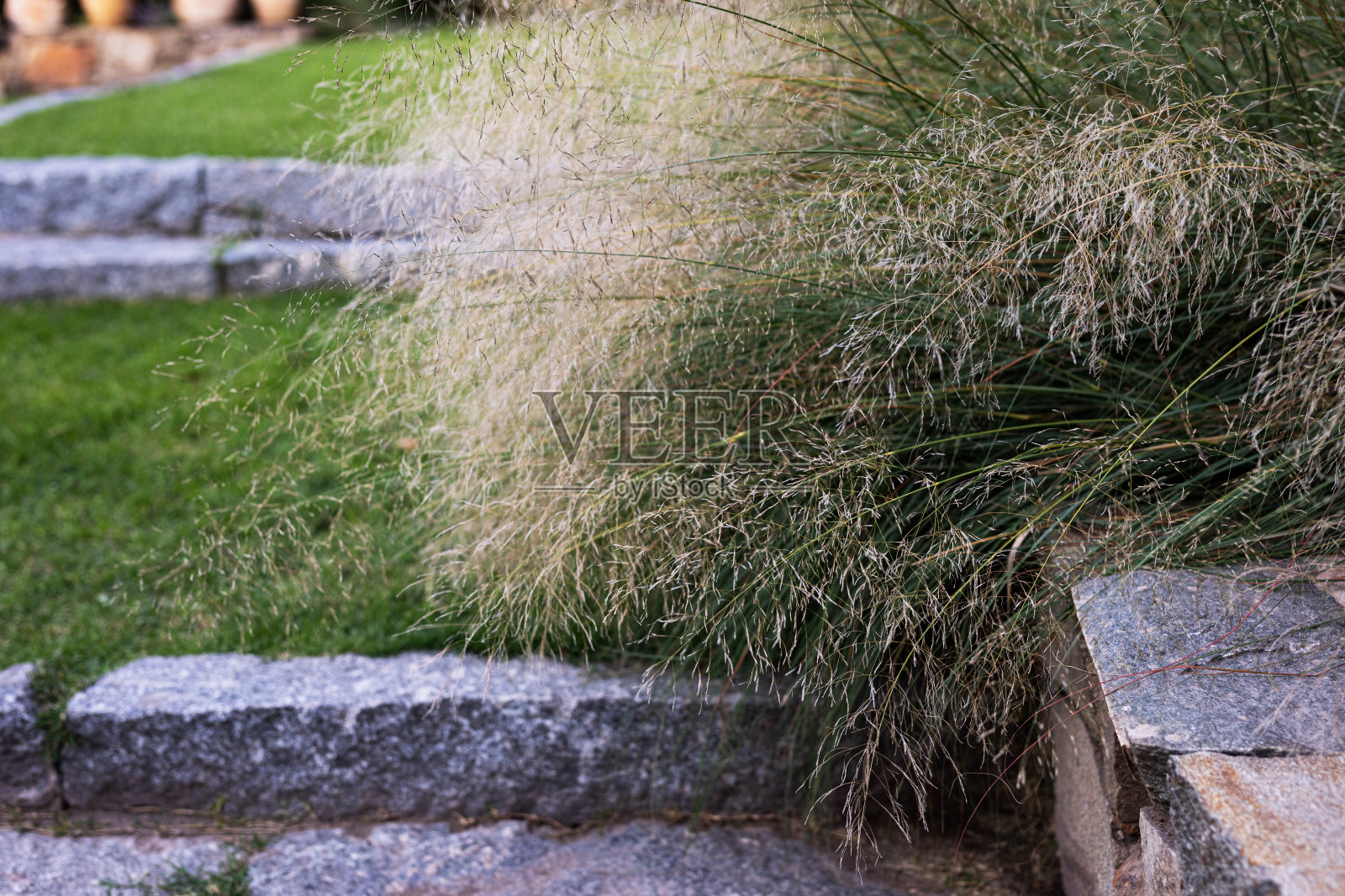 建筑、园林绿化和园林设计照片摄影图片