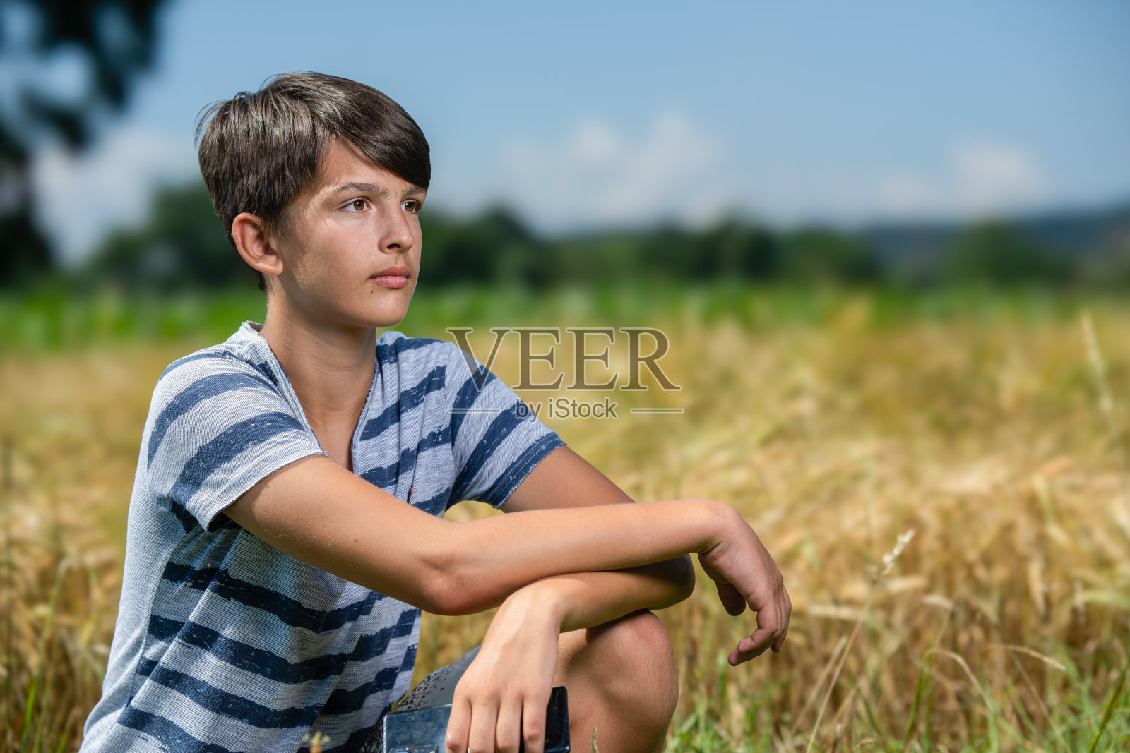 大麦池里的男孩照片摄影图片