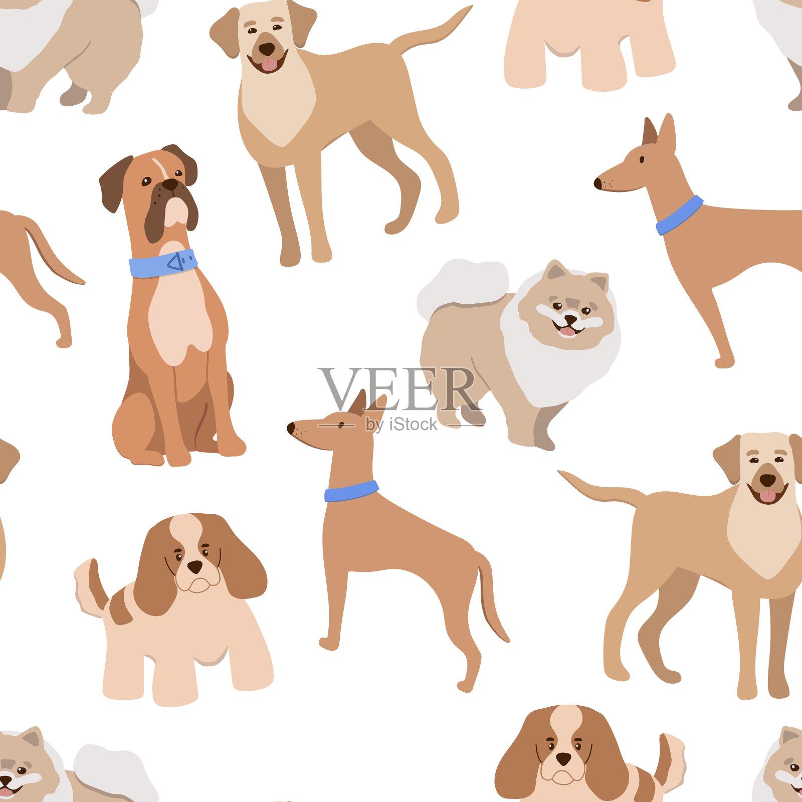 矢量无缝图案与可爱的狗不同品种隔离在白色背景上插画图片素材