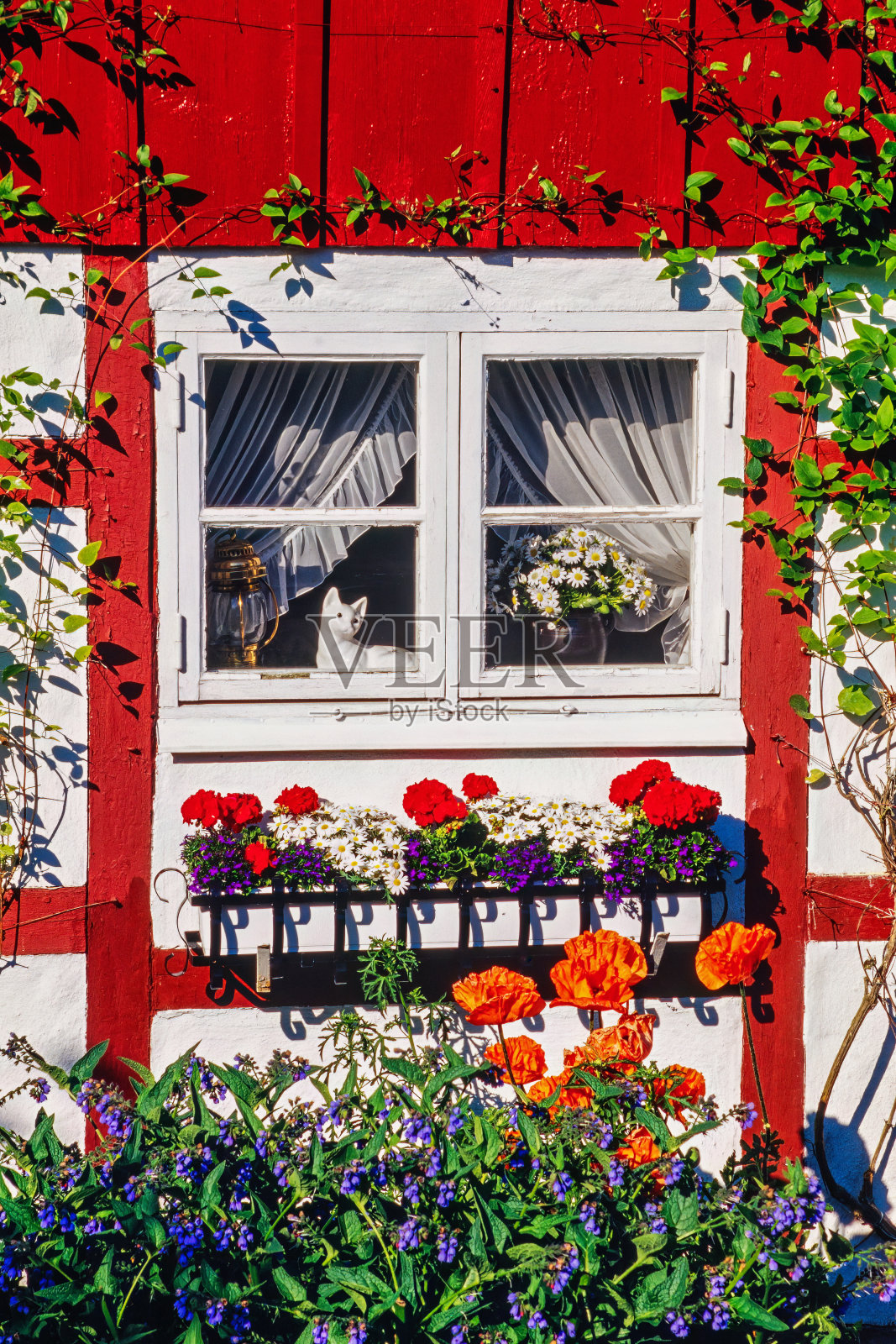 田园诗般的半木结构小屋，花园里有美丽的花朵照片摄影图片