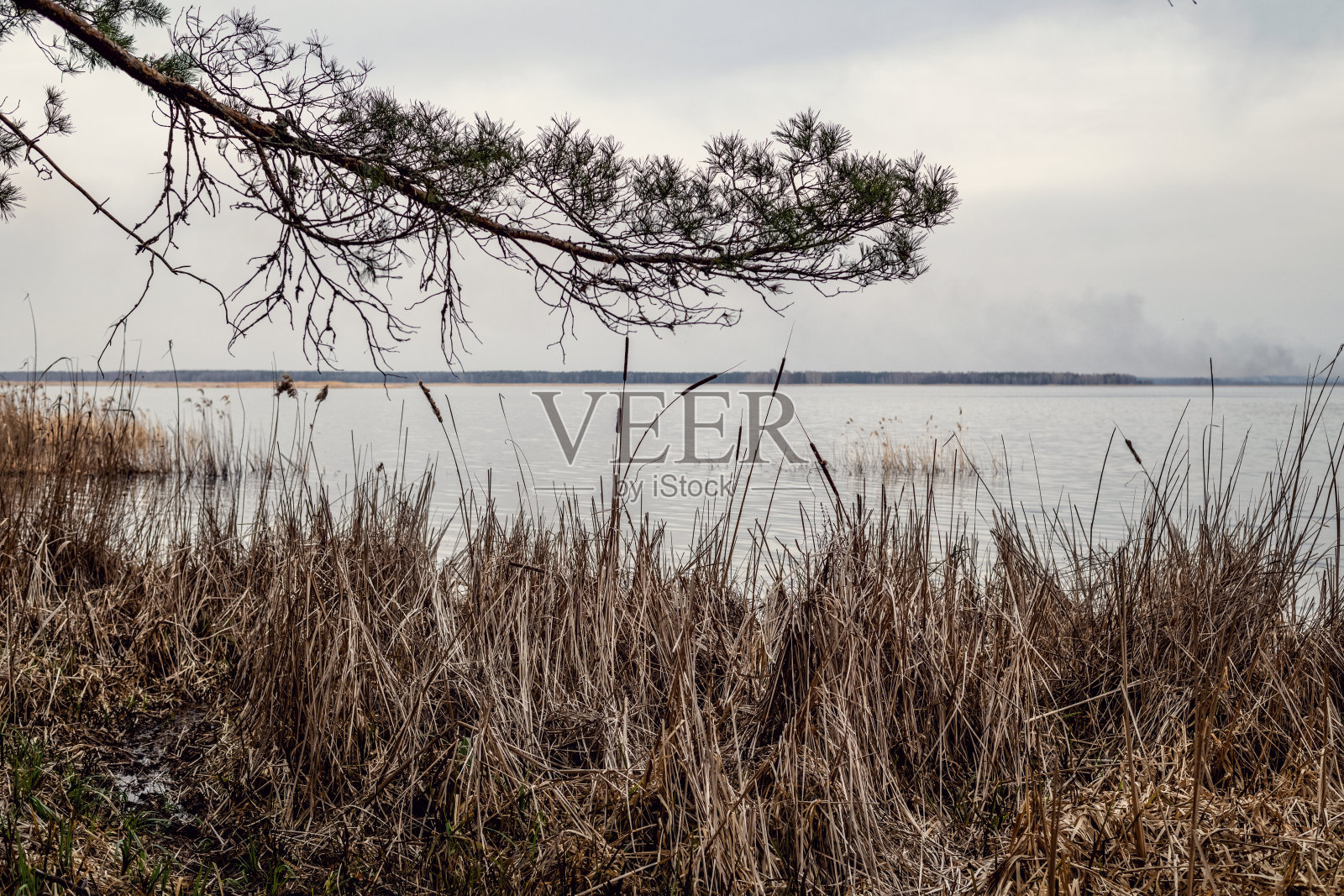 乌克兰基辅地区的基辅海景观照片摄影图片