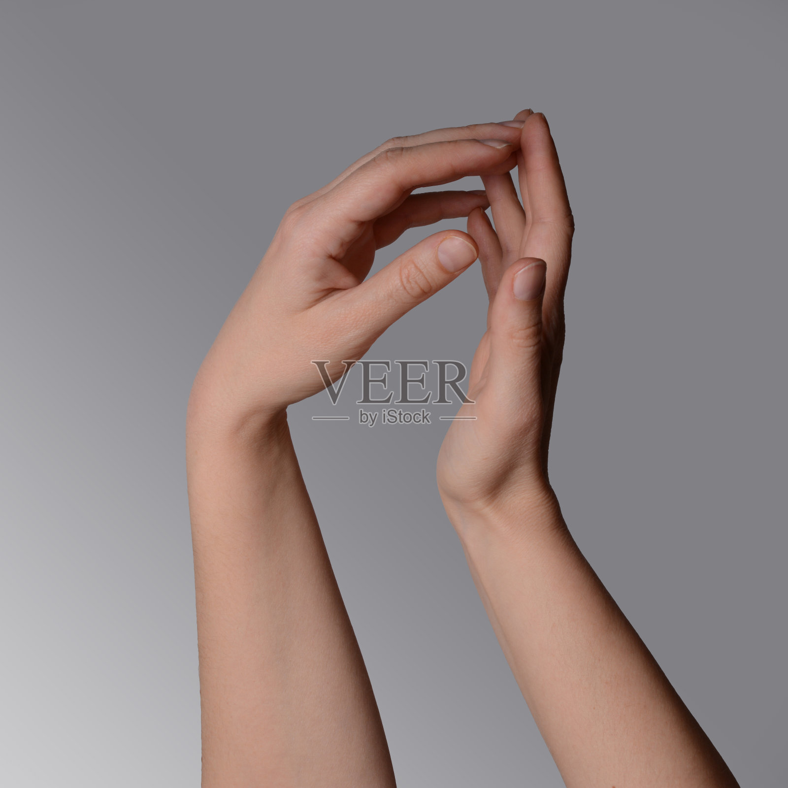 一对夫妇的手温柔地抚摸着对方。温柔的双手孤立在浅灰色的背景。照片摄影图片