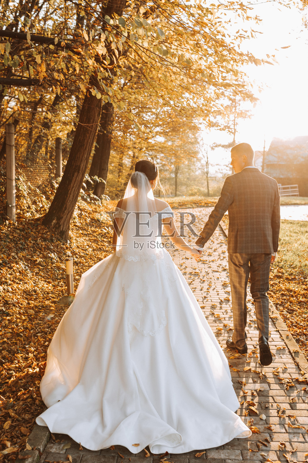 一对幸福的新婚夫妇，新娘和新郎在秋天的森林、公园里散步亲吻照片摄影图片