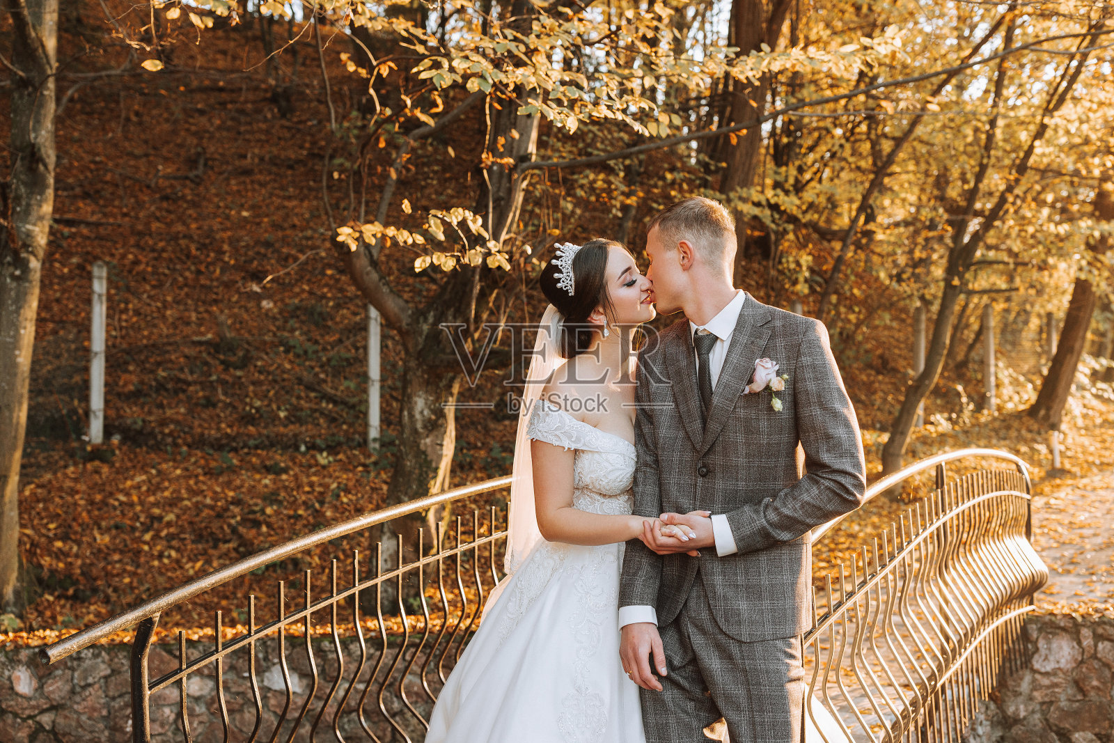 一对非常浪漫的新婚夫妇在秋天的日落时分在公园的草地上拥抱着树叶照片摄影图片