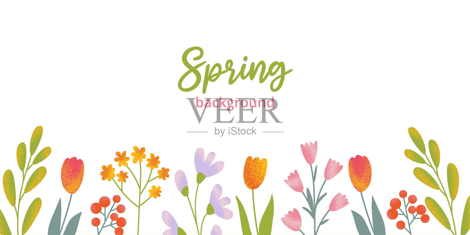 春季或夏季水平花卉模板在平面矢量风格。画出色彩斑斓的不同的花朵和绿叶，纹理粒状。插画图片素材