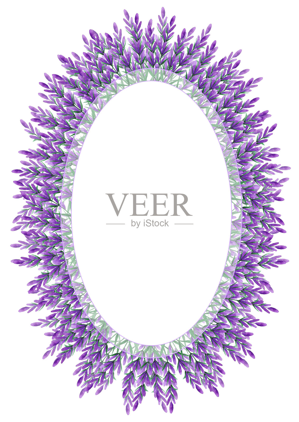 手绘水彩薰衣草野花框架边界孤立的白色背景。可用于卡片、请柬、海报等印刷品。插画图片素材