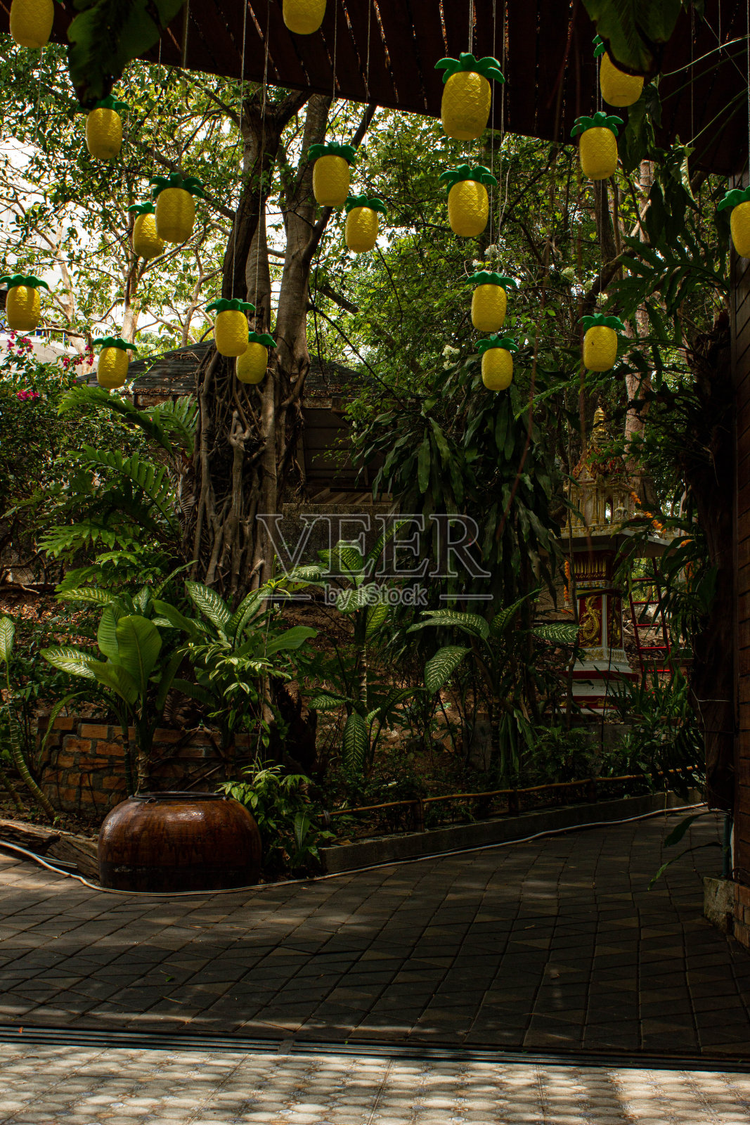 菠萝的心情照片摄影图片